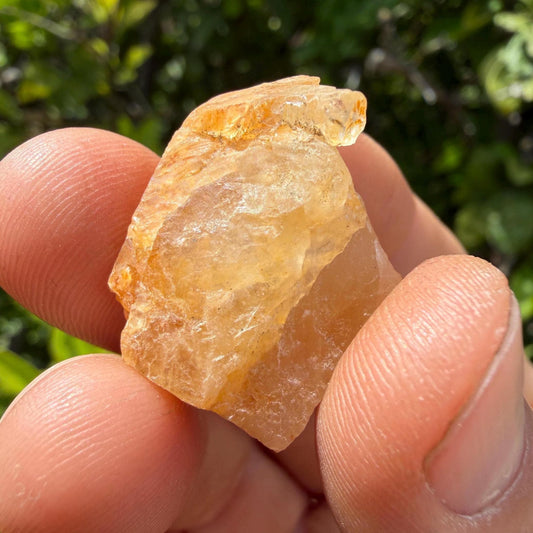 Golden Brazilian Phenacite Crystal: High-Vibration Gemstone, 7.89g/39.45ct