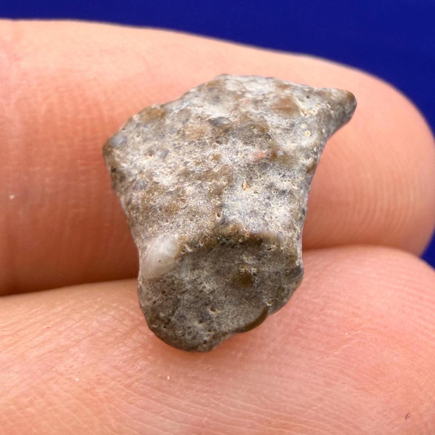 NWA 13974 Lunar Meteorite - Feldspathic Breccia, 1.04 grams