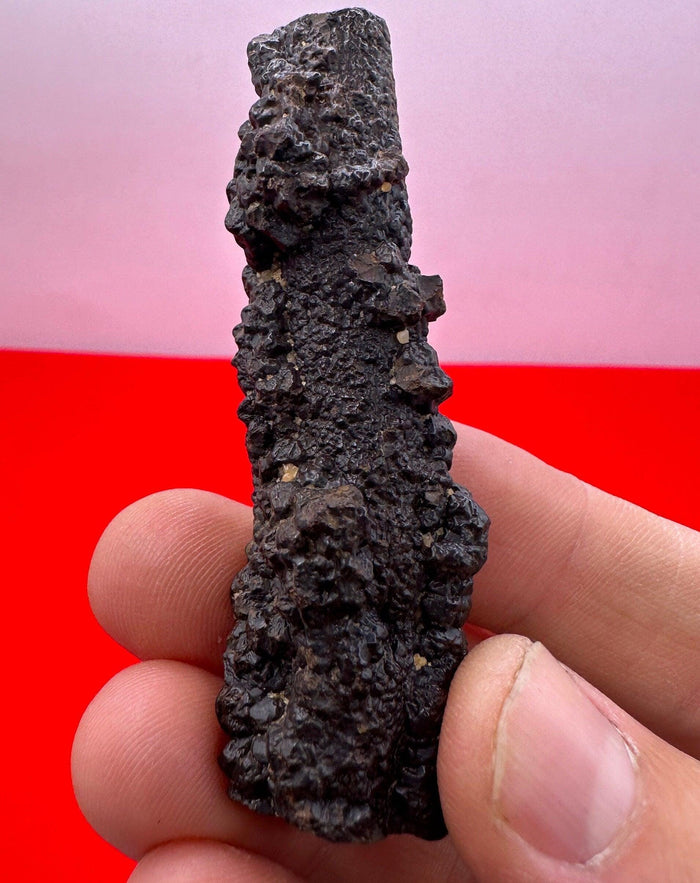 Elongated Prophecy Stone from Egypt: Authentic Z Stone, 37.16 grams