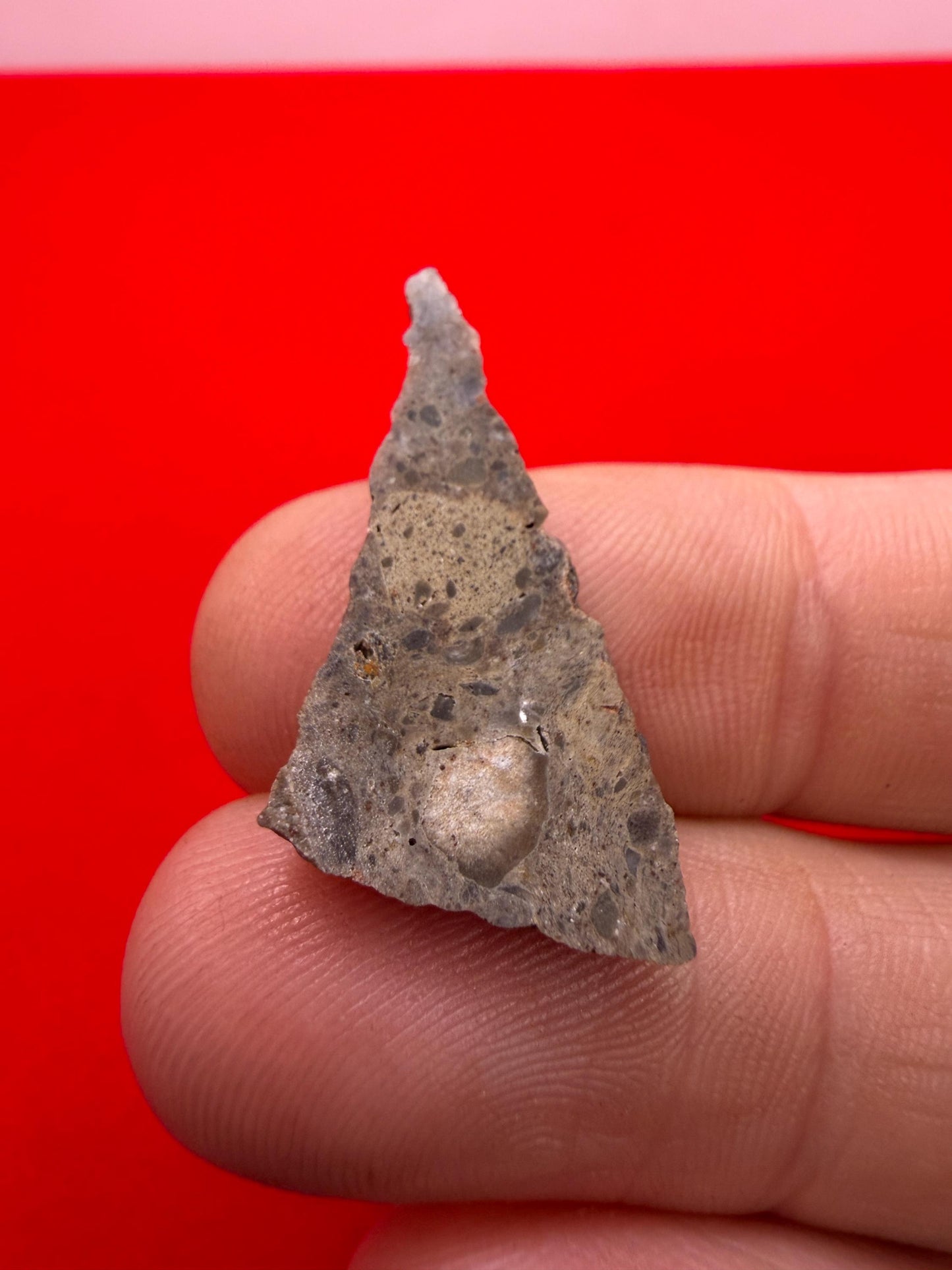 Oued el Hamim 001 Lunar Meteorite Slice, Aqueously Altered Moon Rock (1.48g)