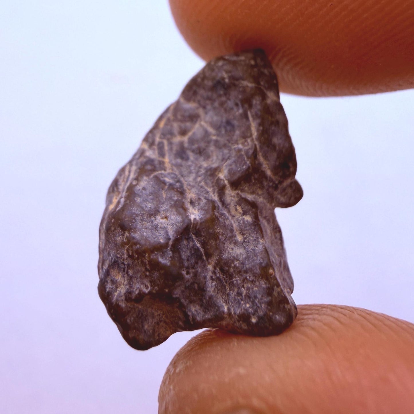 NWA 13974 Lunar Meteorite - Feldspathic Breccia, 2.50 grams