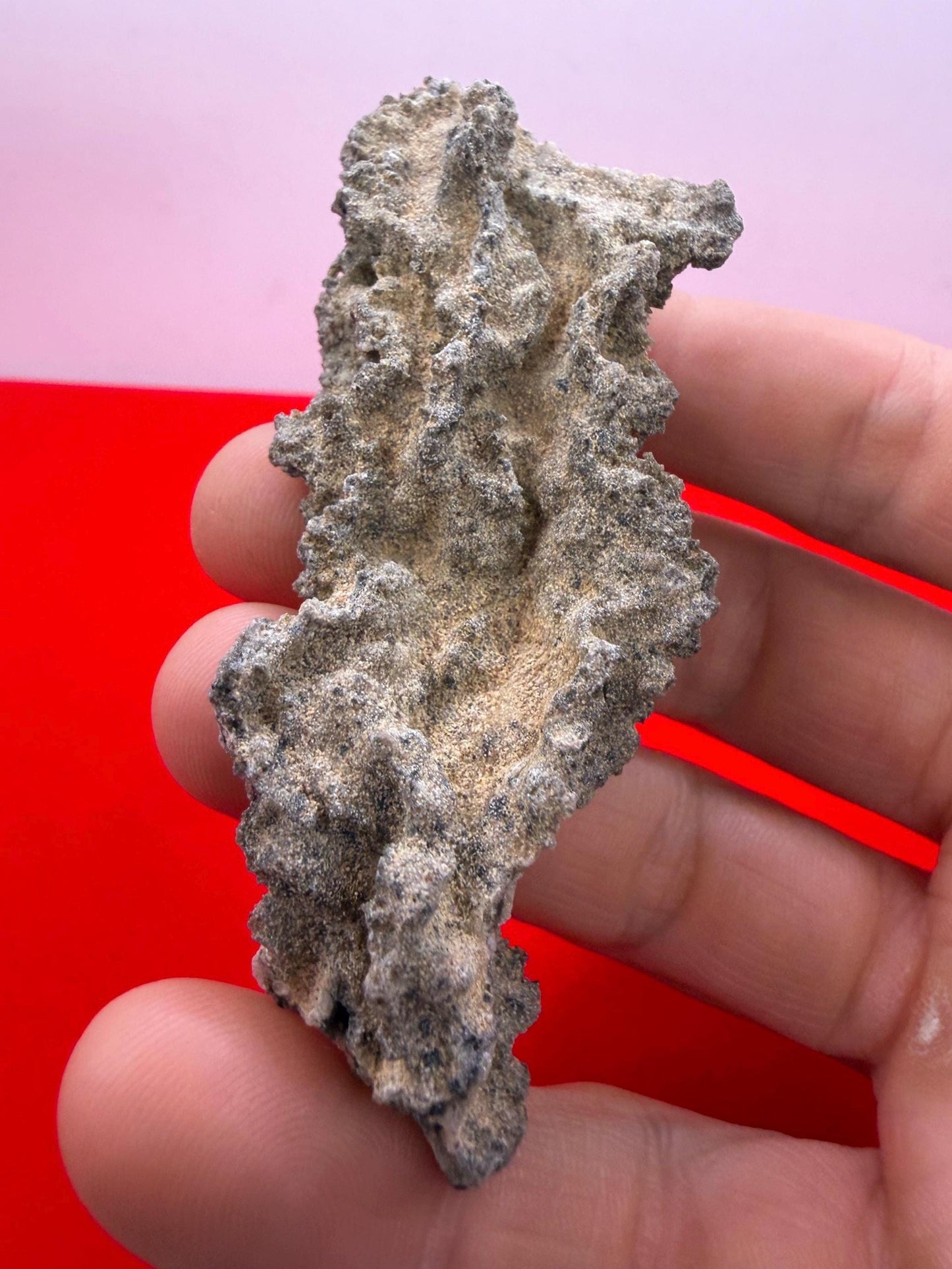 Sahara Desert Fulgurite: Lightning Glass, Fossilized Lightning, Energy Work, 10.30 grams