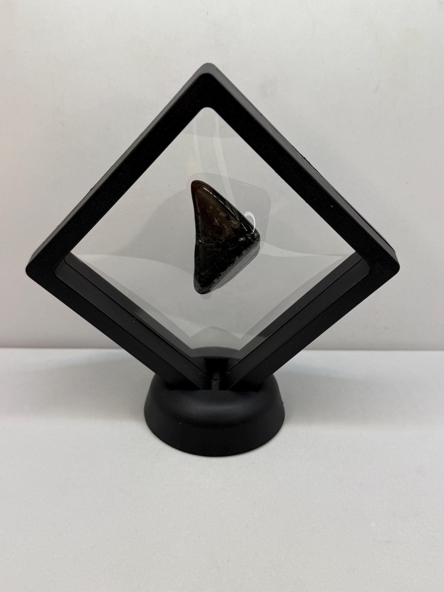 Polished Nuummite Stone: Greenland Gemstone with Display Case, Talisman, 18.89 grams