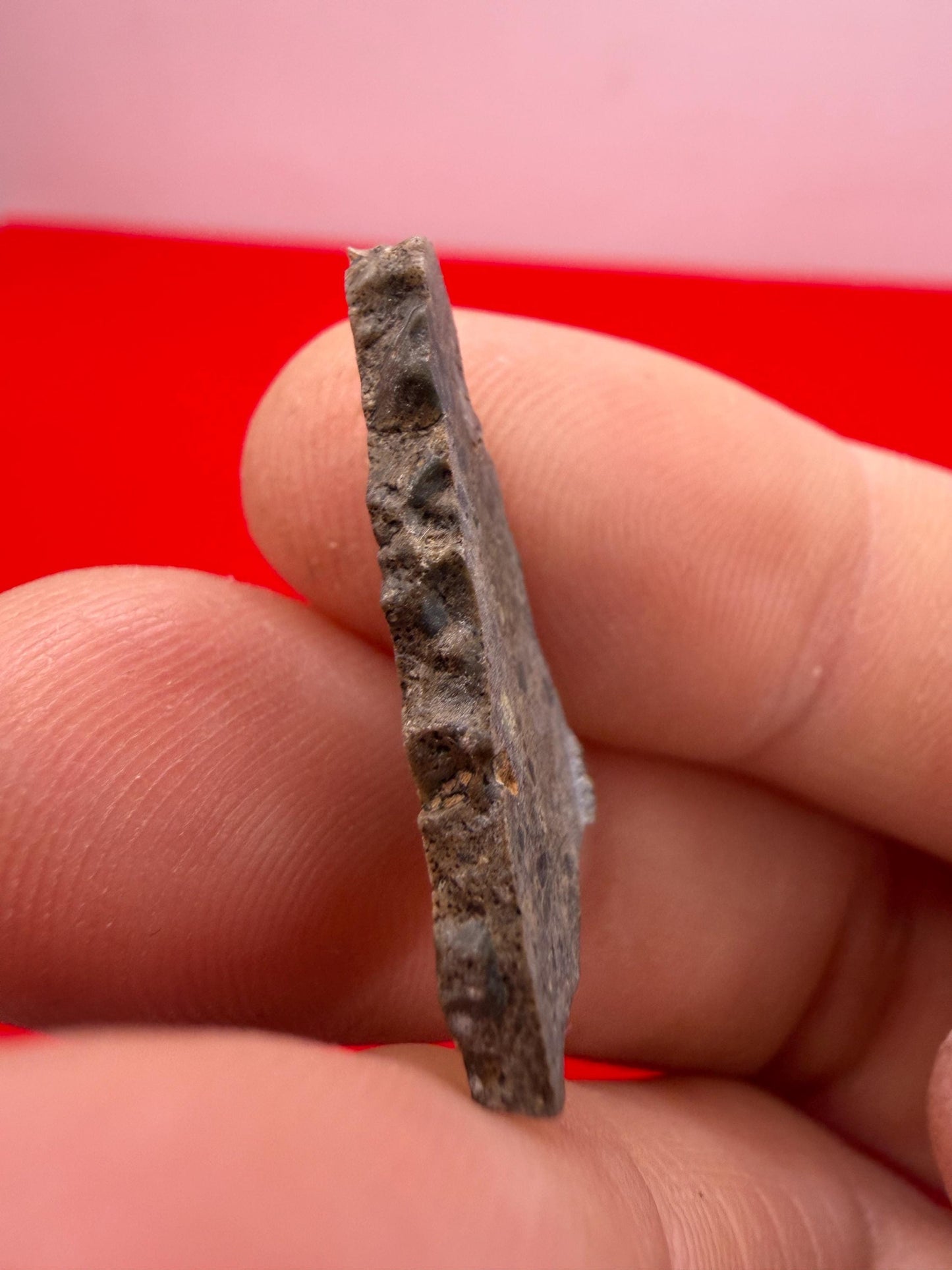 Oued el Hamim 001 Lunar Meteorite Slice, Authentic Moon Rock, Rare Aqueously Altered Lunar, 1.14g