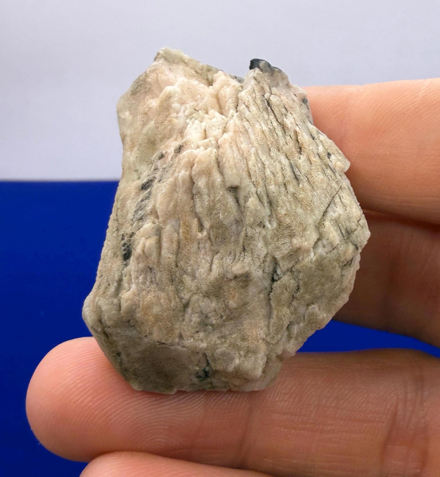 Brazilian Phenacite Crystal: High Vibration Meditation Crystal, 39.56g/198ct