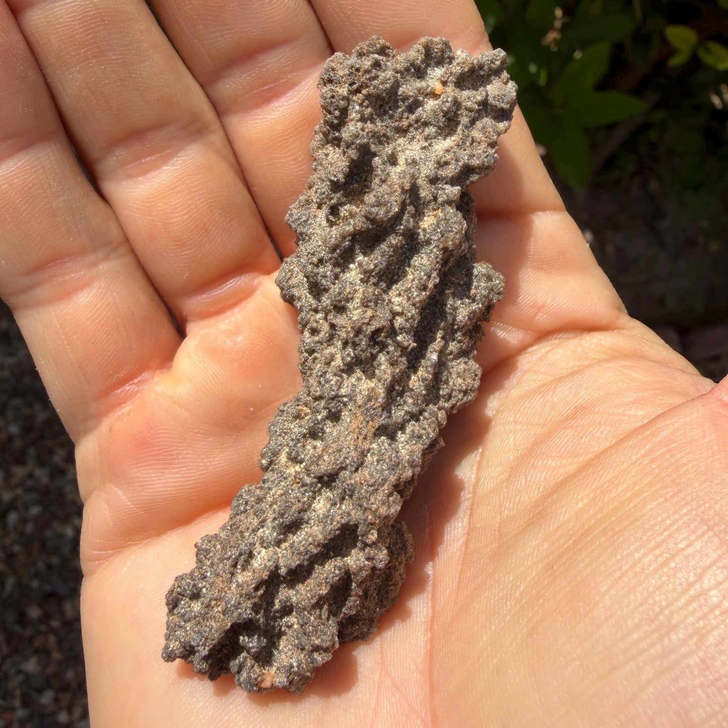 Sahara Desert Fulgurite: Lightning Glass, Fossilized Lightning, Energy Work, 12.38 grams