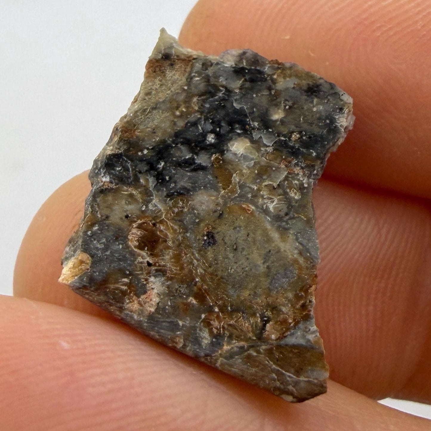 NWA 18045 Lunar Meteorite Slice, Melt Breccia Moon Rock (1.48 grams)