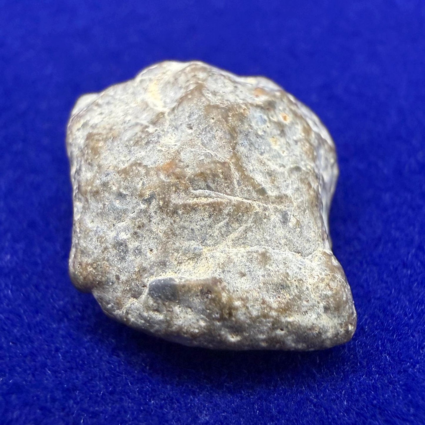 NWA 13974 Lunar Meteorite - Feldspathic Breccia, 1.46 grams