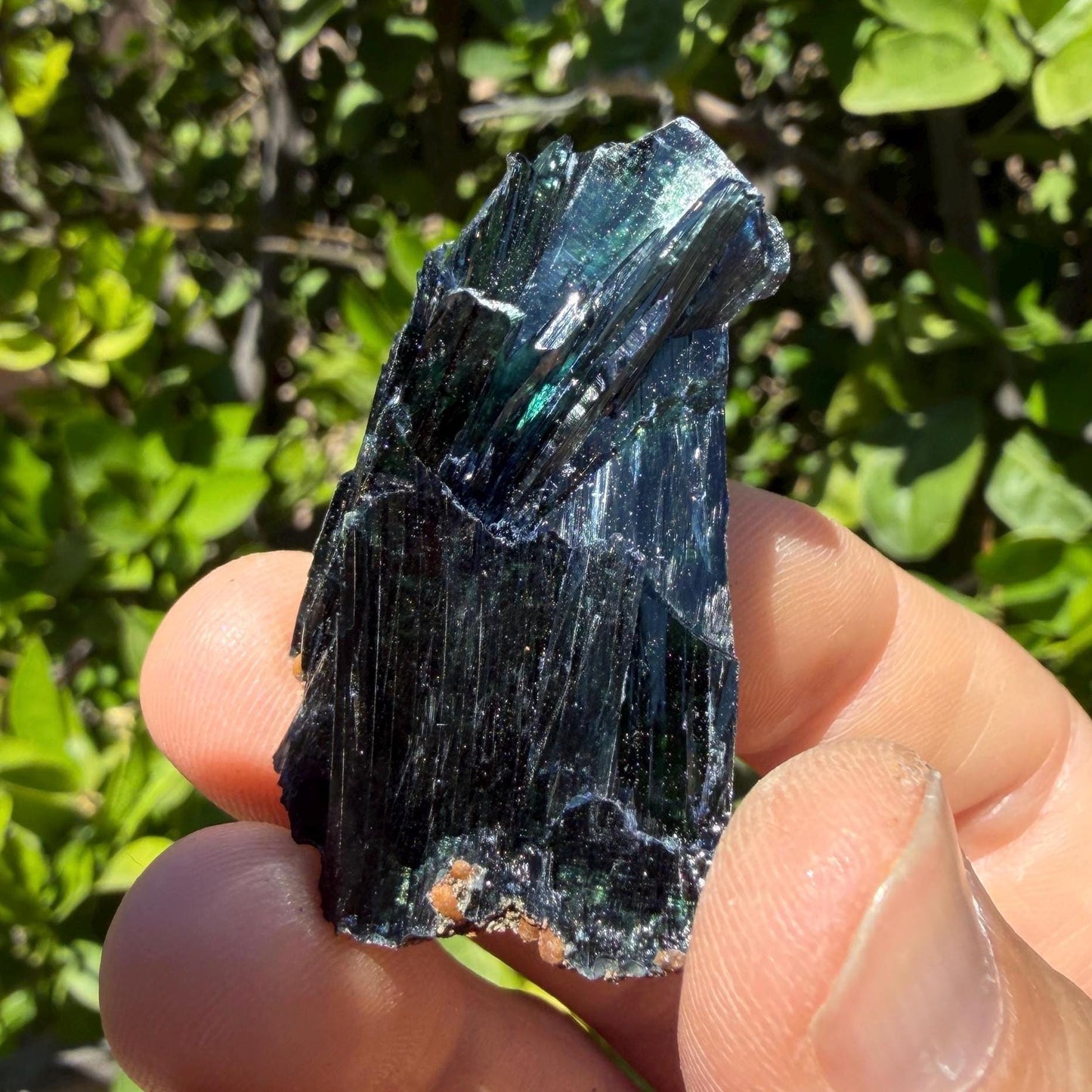 Rare Brazilian Vivianite Crystal: Reiki Energy Stone, Collector's Gem, 22.44g/112.2ct