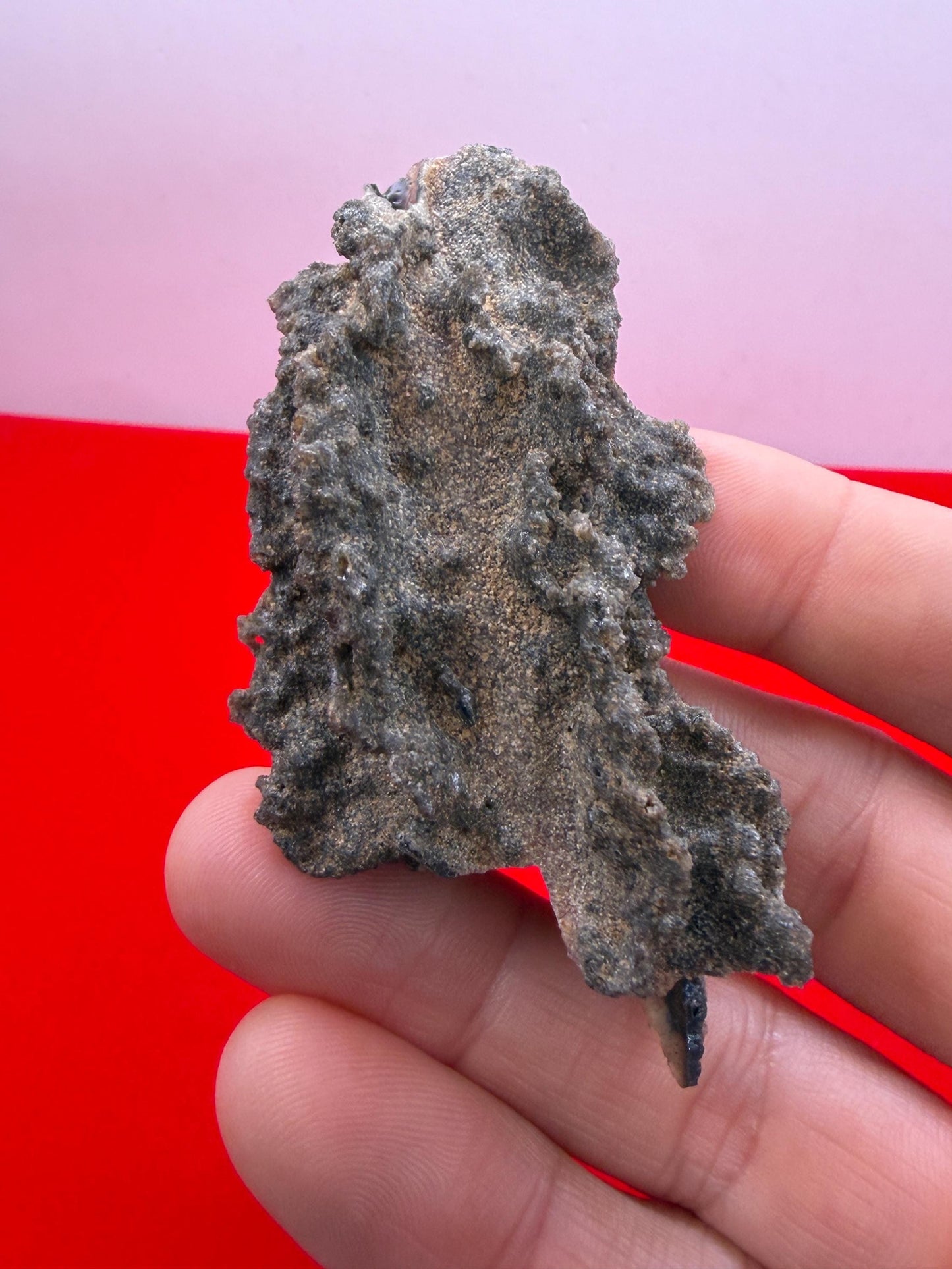 Sahara Desert Fulgurite: Lightning Glass, Fossilized Lightning, Energy Work, 13.12 grams