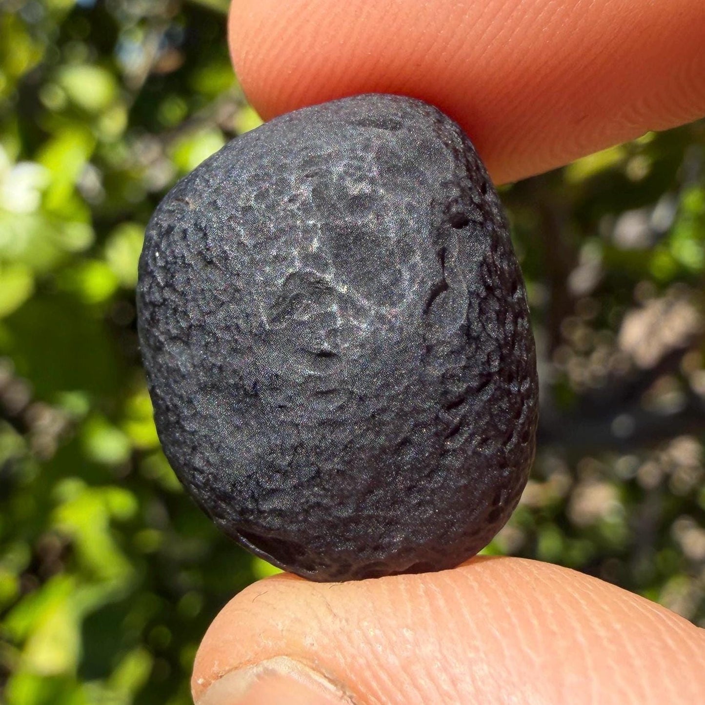 Saffordite Stone, Rare Cintamani, Elongated, Arizona, Pseudo Tektite, 5.84 Grams