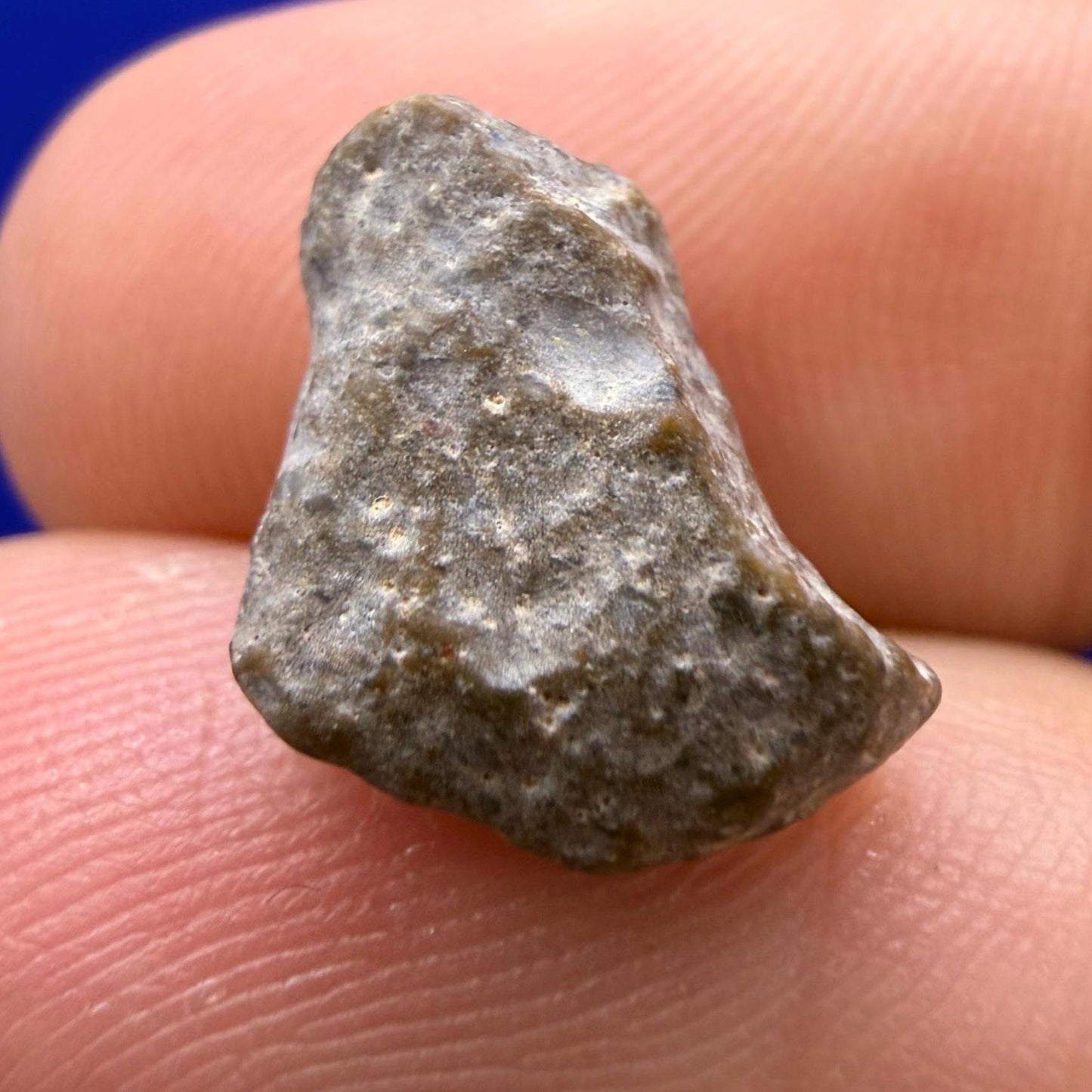NWA 13974 Lunar Meteorite - Feldspathic Breccia, 1.04 grams