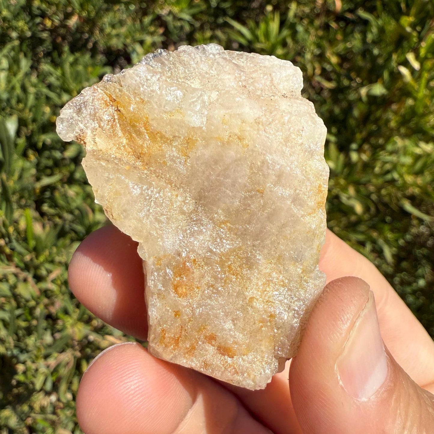 Rare Golden Brazilian Phenacite Crystal: High-Vibration Energy Stone, 64.67g/323ct