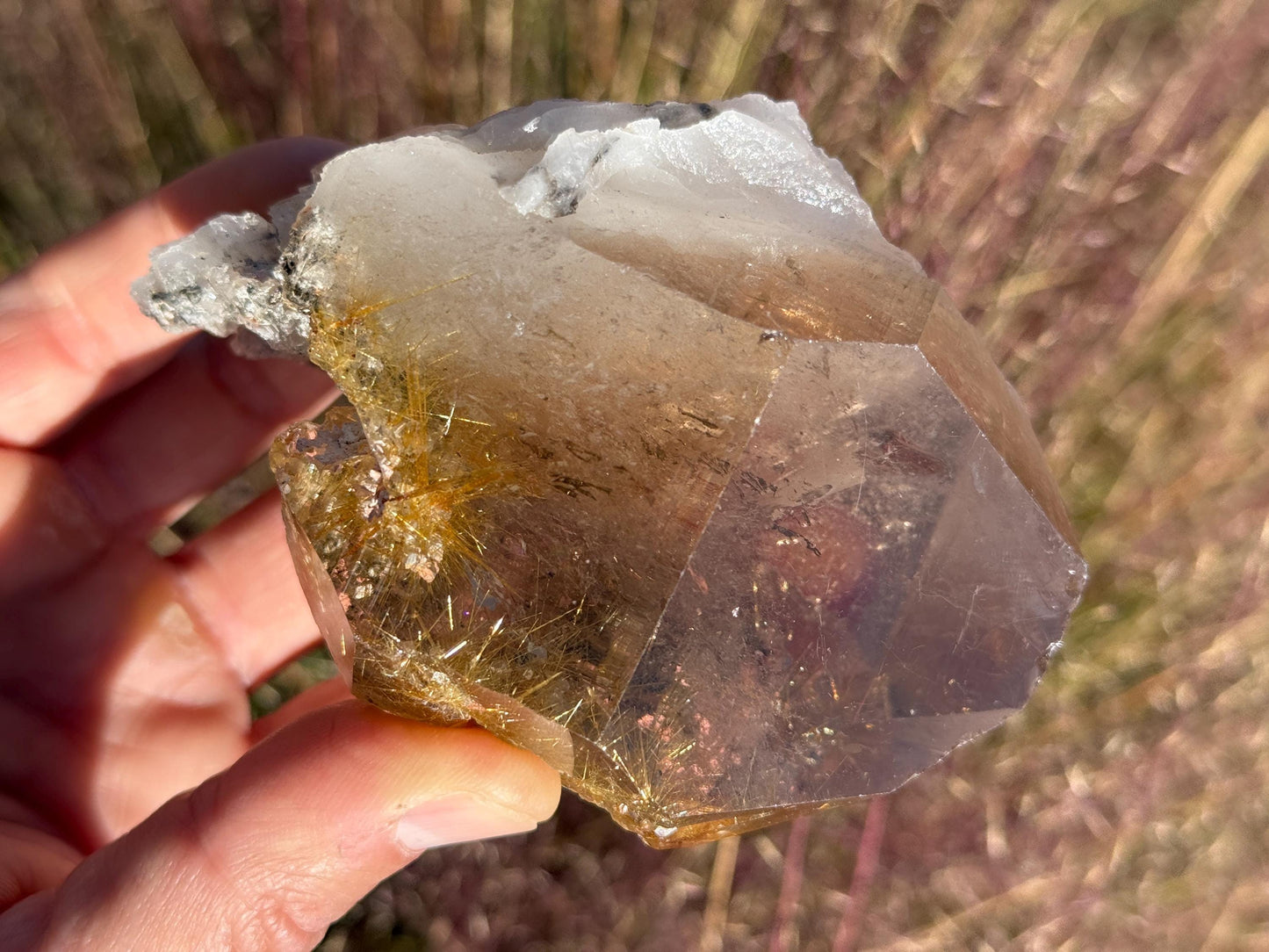 Rare Golden Rutilated Quartz Crystal: Brazilian Fine Crystal, 348g