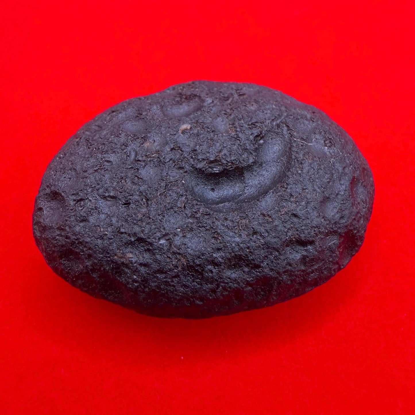 Saffordite Stone: Rare Cintamani, Arizona Pseudo-Tektite -18.69 Grams