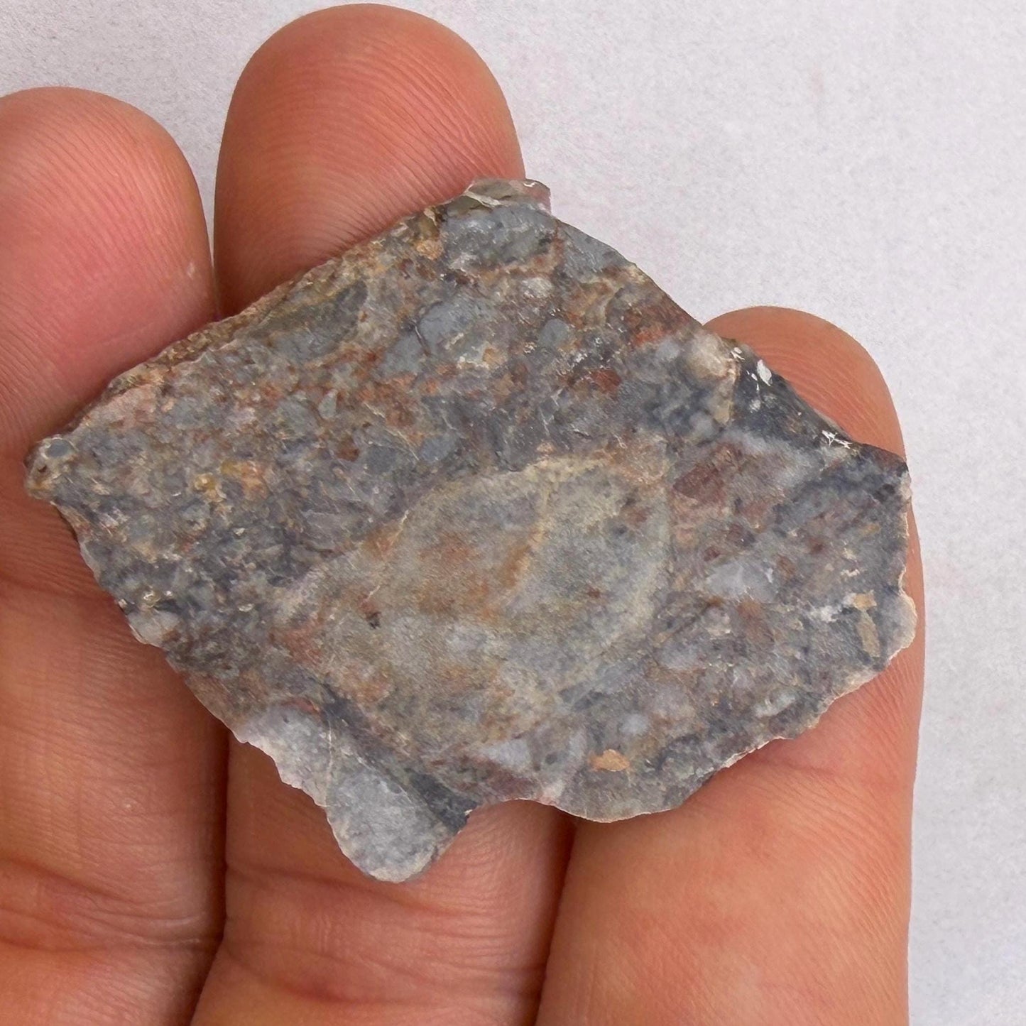 NWA 18045 Lunar Meteorite Slice, Authentic Moon Rock, Melt Breccia, 6.90 grams
