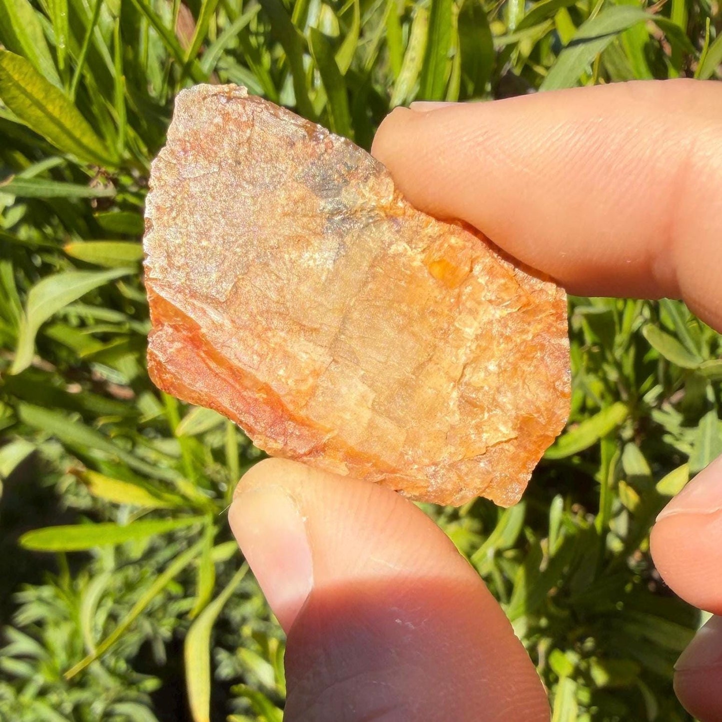 Golden Brazilian Phenacite Crystal: High-Vibration Gemstone, 17.73g/88.65ct