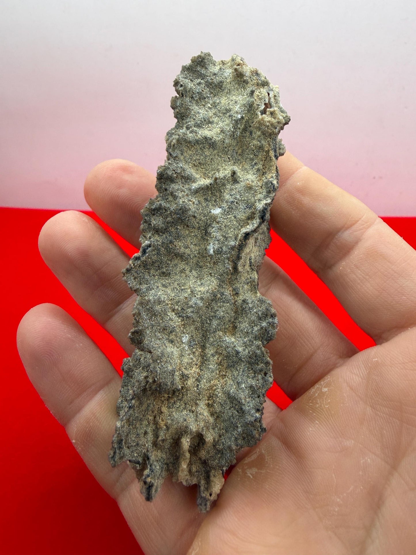 Sahara Desert Fulgurite: Lightning Glass, Fossilized Lightning, Energy Work, 14.55 grams