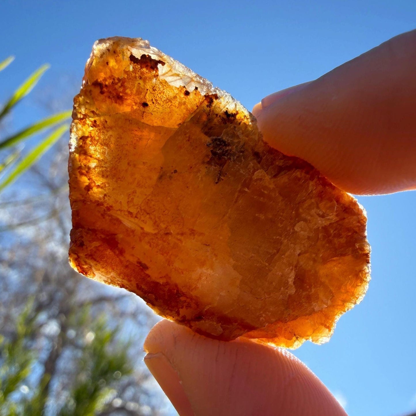 Golden Brazilian Phenacite Crystal: High-Vibration Gemstone, 17.73g/88.65ct