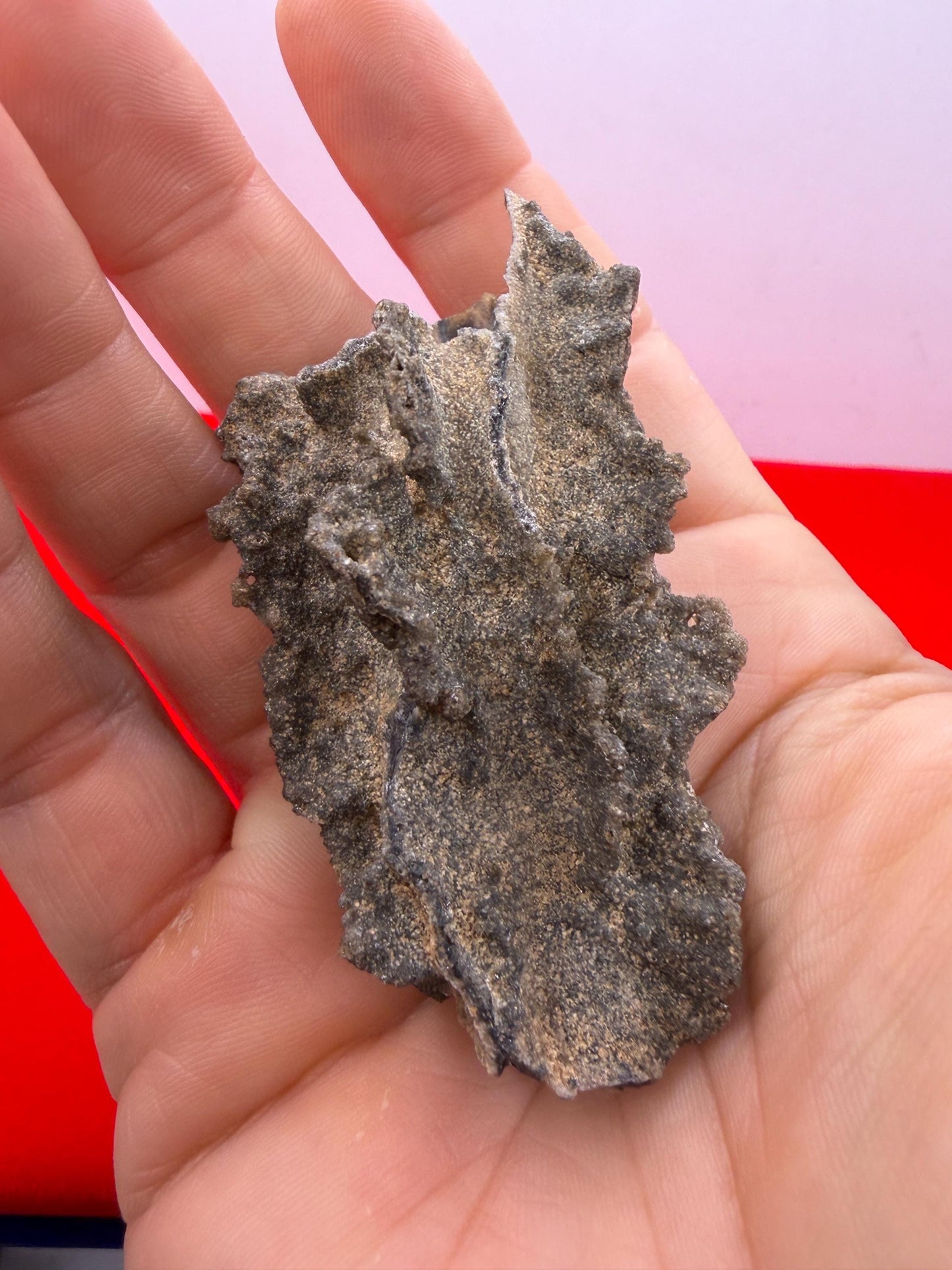 Sahara Desert Fulgurite: Lightning Glass, Fossilized Lightning, Energy Work, 13.12 grams