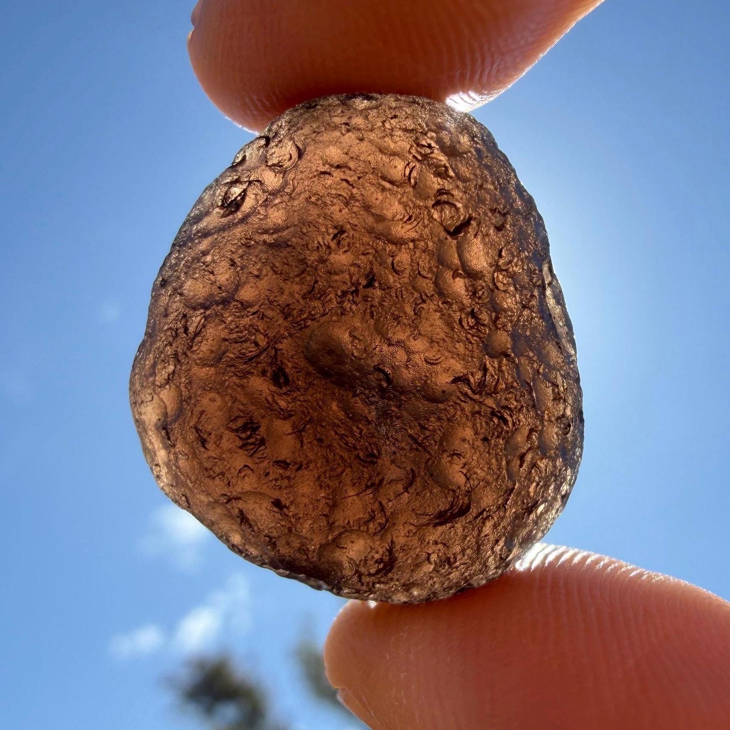 Saffordite Cintamani Specimen: Rare Arizona Pseudotektite, 10.85 grams