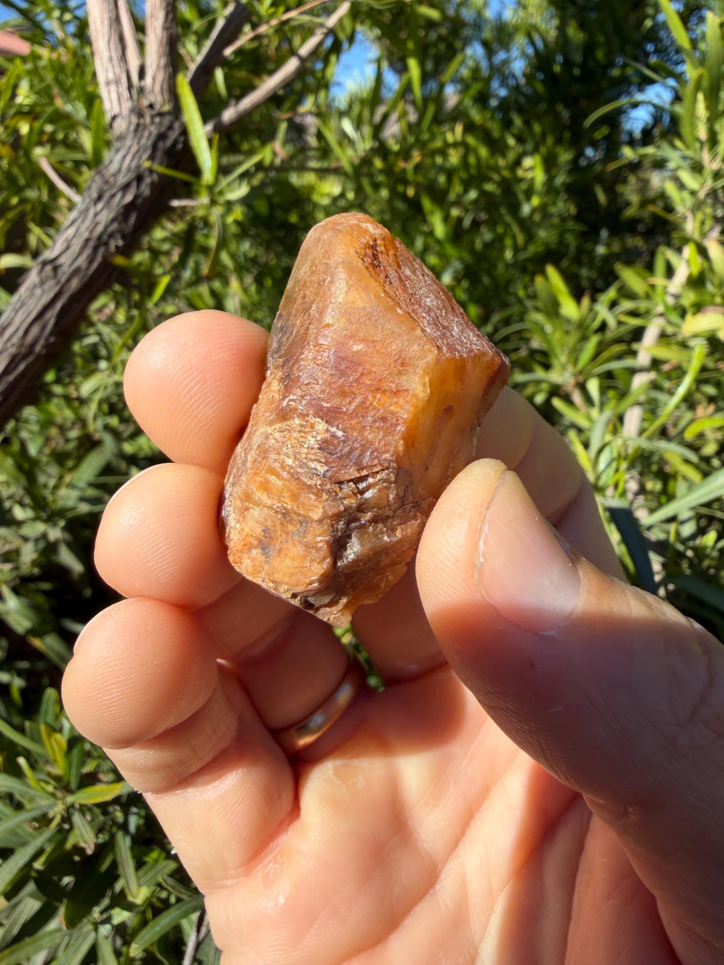 Golden Brazilian Phenacite Crystal: High-Vibration Gemstone, 17.73g/88.65ct