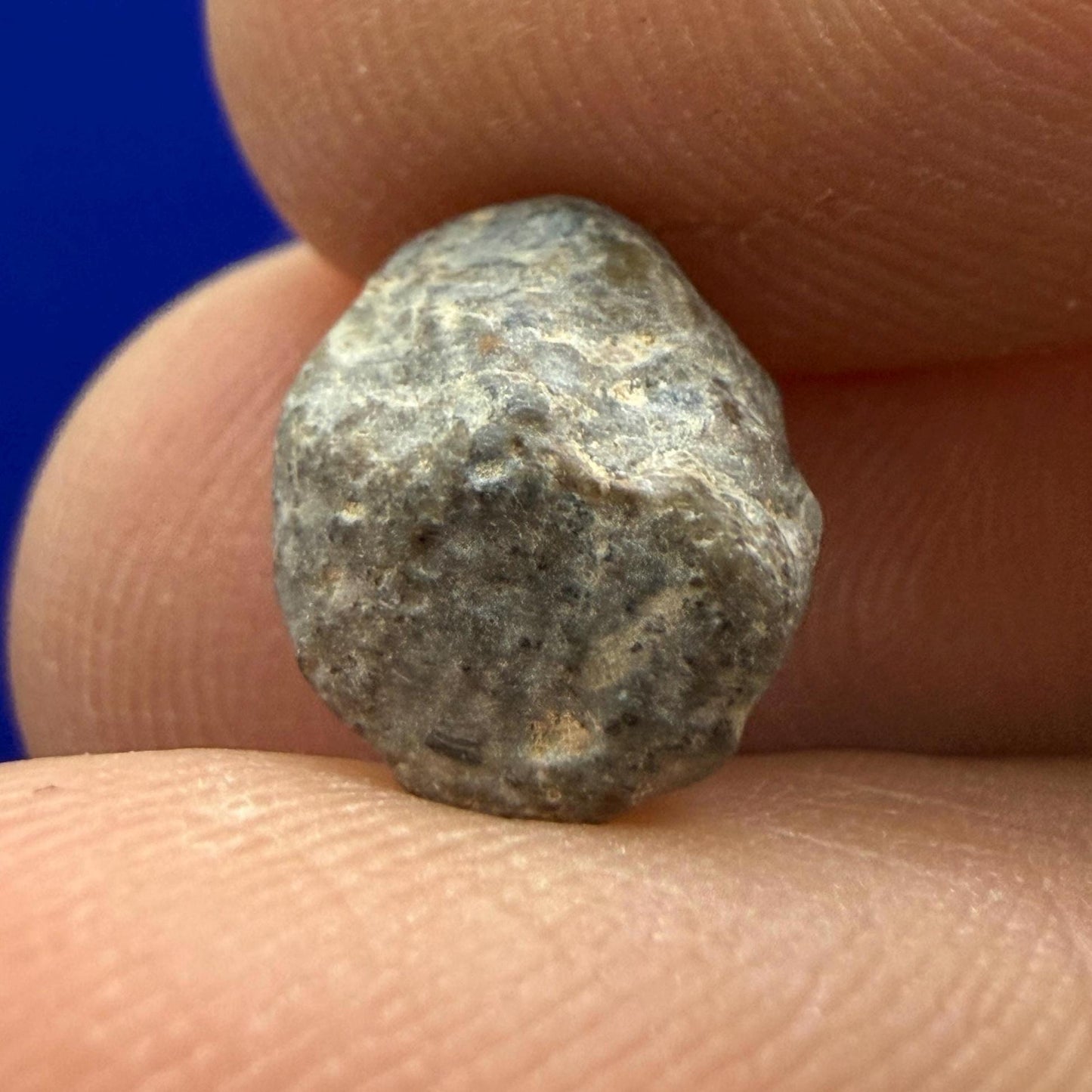 NWA 13974 Lunar Meteorite: Feldspathic Breccia, Moon Rock, 0.81 grams