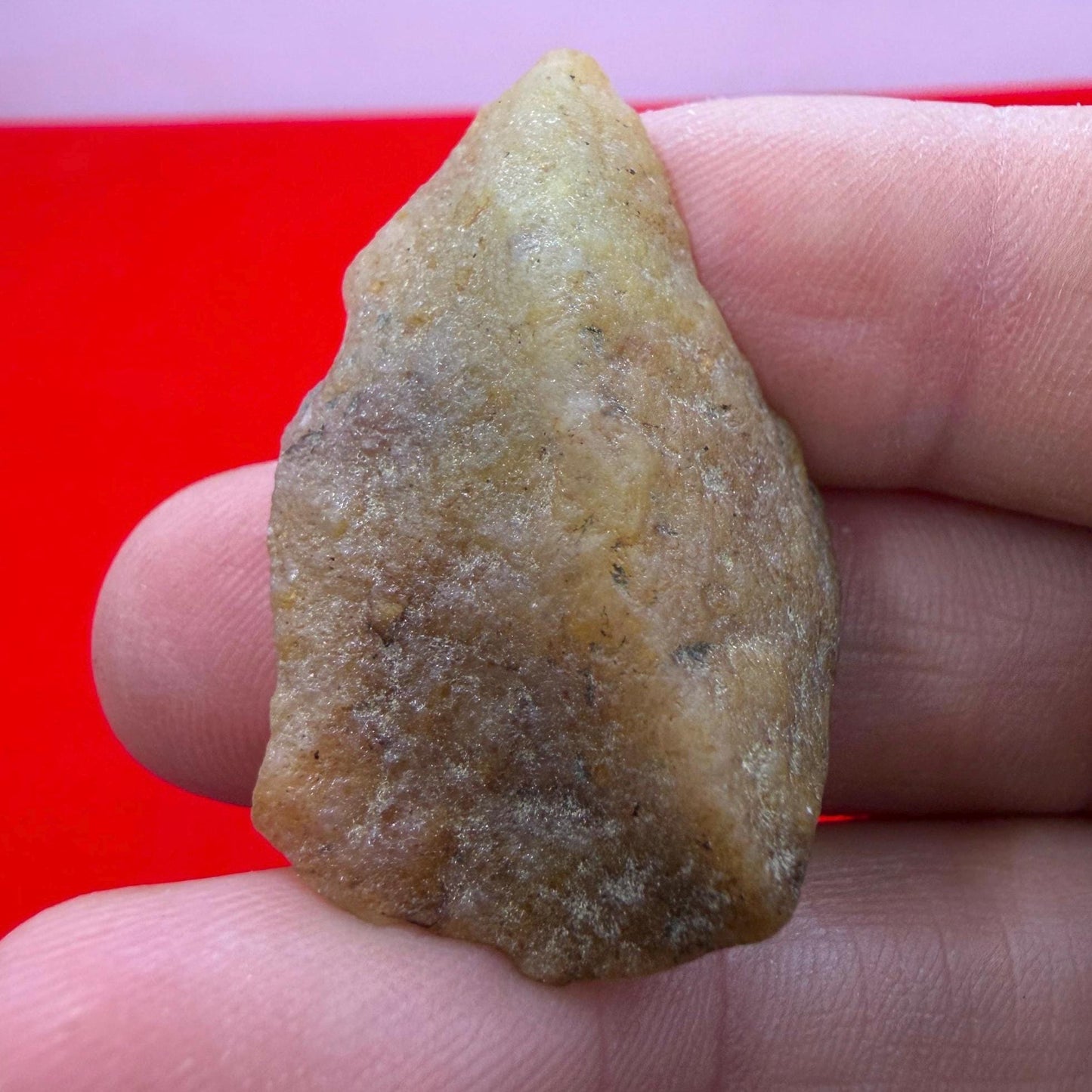 Golden Brazilian Phenacite Crystal: High-Vibration Gemstone, 10.22g/51.1ct