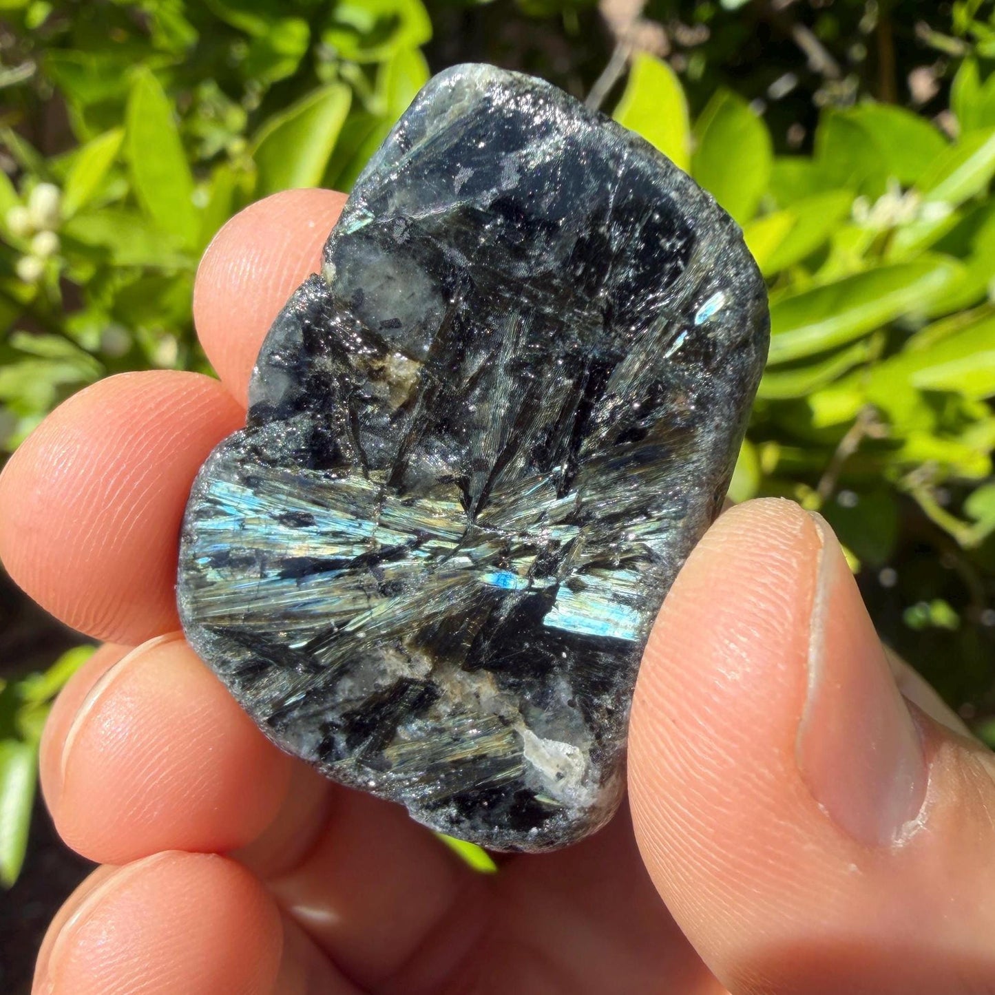 Rare Nuummite Crystal Finland, Genuine Sorcerer’s Stone, Iridescent Stone, 20.96g