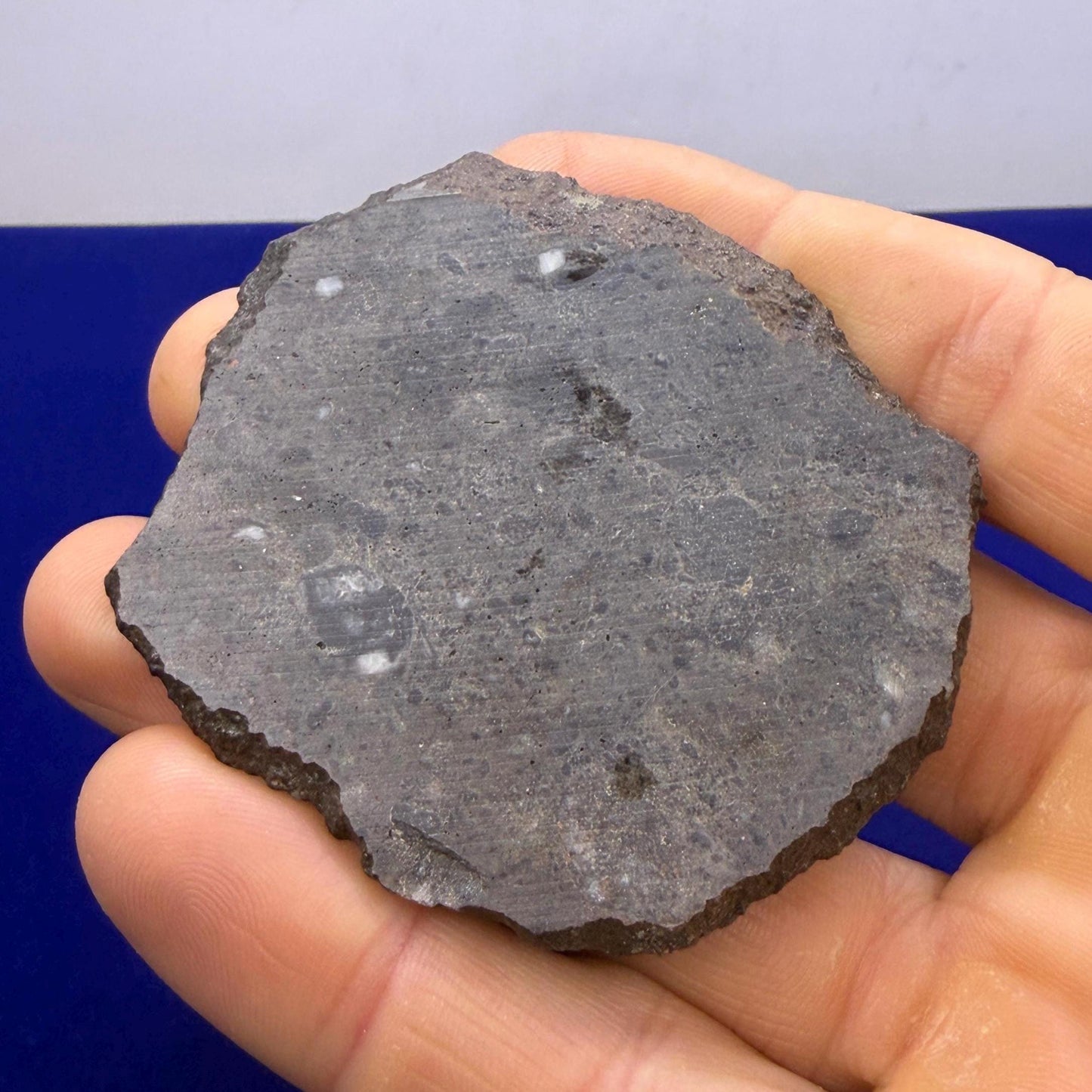 Ash Shaqqah 002 Lunar Meteorite | Moon Rock 20.19 Troctolite