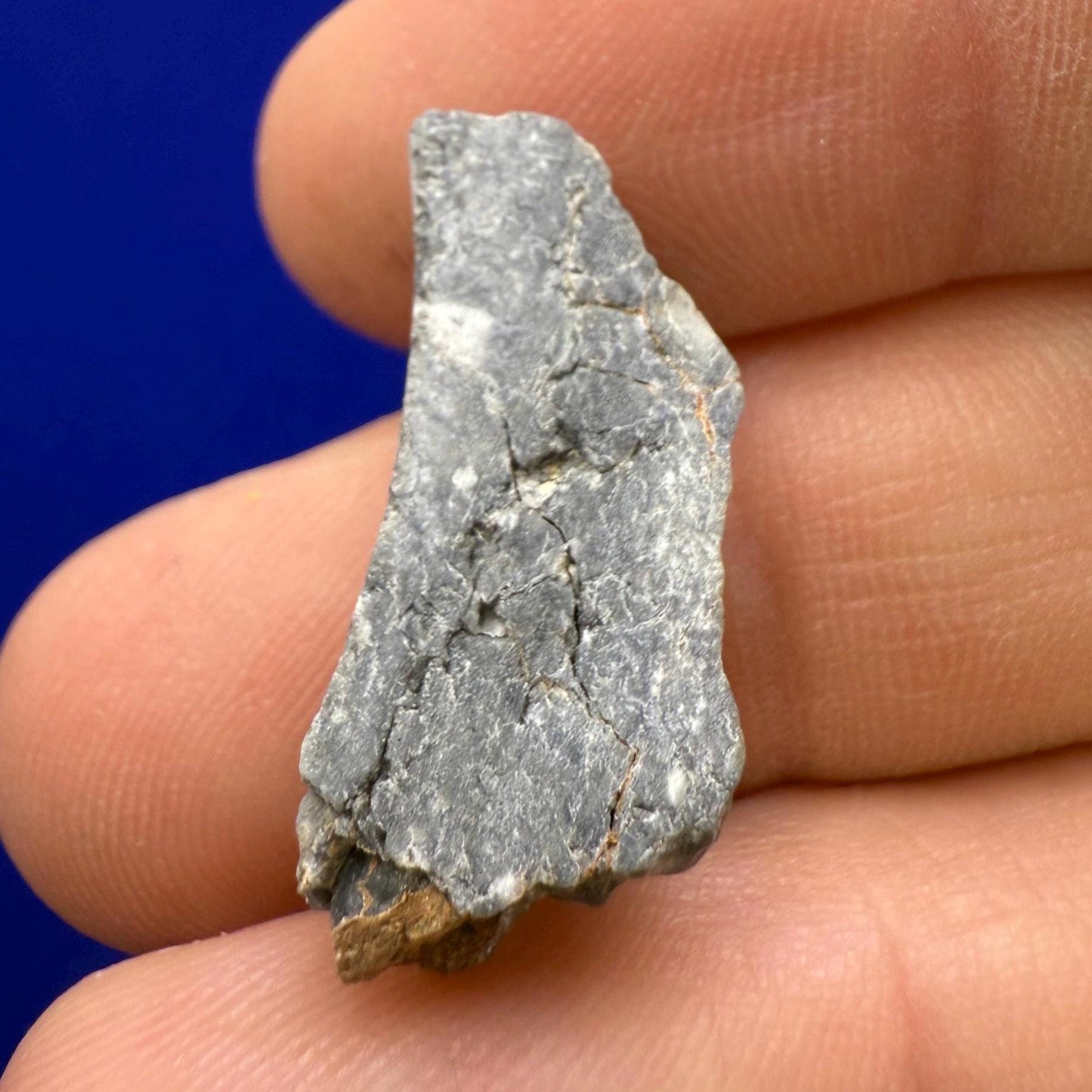 Polished Lunar Meteorite Slice Gadamis 003, Apollo Moon Rock, 2.70 grams