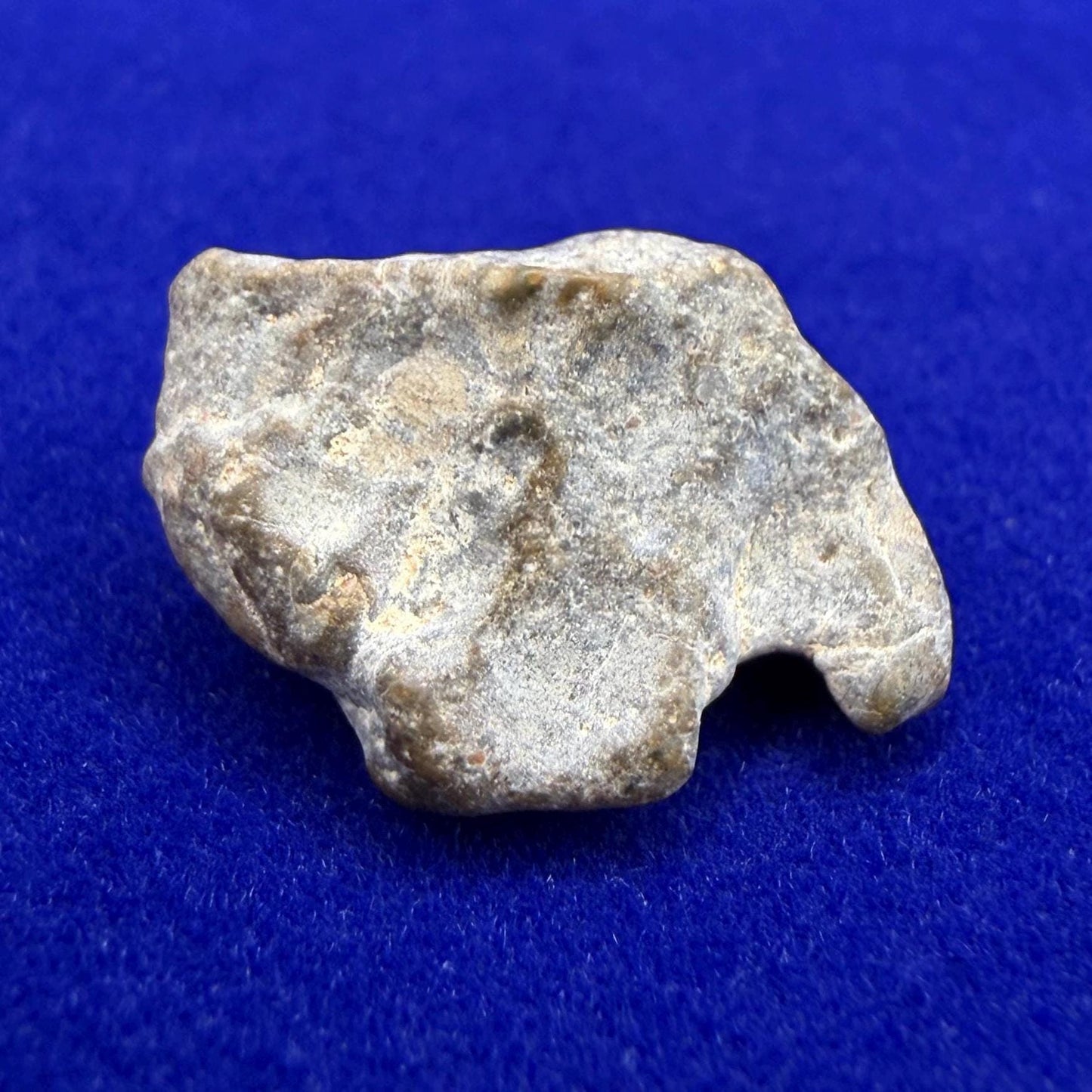 NWA 13974 Lunar Meteorite - Feldspathic Breccia, 1.56 grams