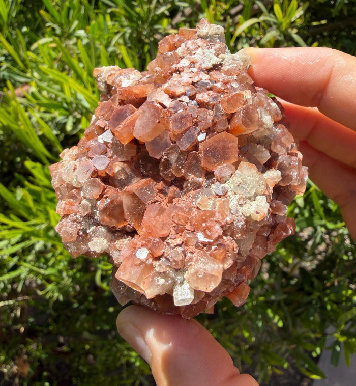 Large Aragonite Star Cluster Crystal Specimen, 337 grams/12oz