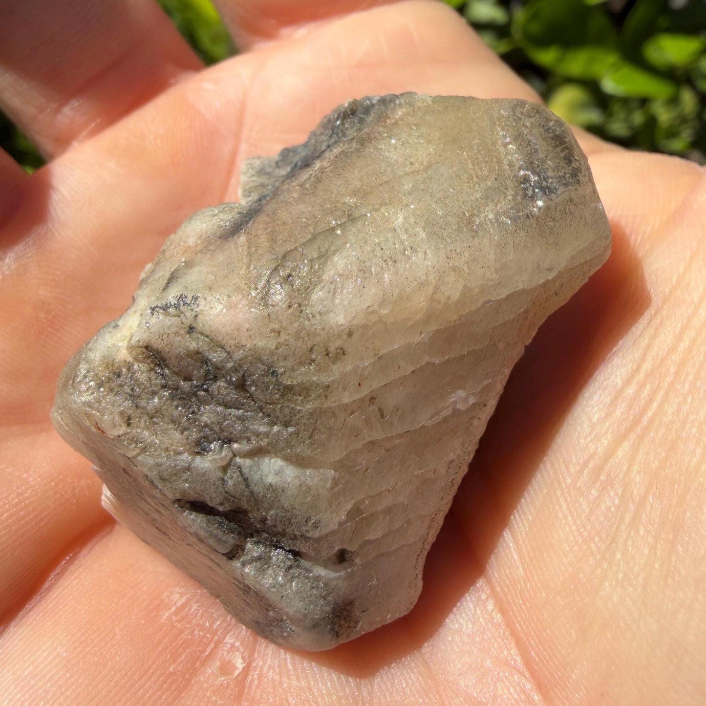 Brazilian Phenacite Crystal: High Vibration Meditation Crystal, 39.56g/198ct