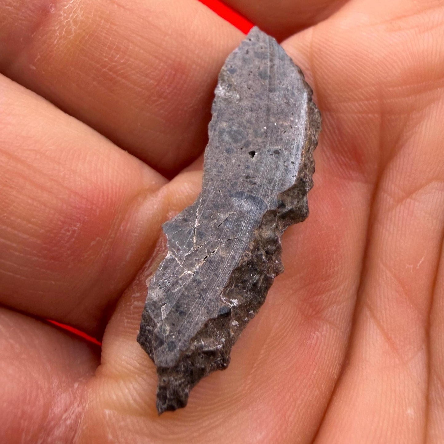 Oued el Hamim 001 Lunar Meteorite Slice, Rare Aqueously Altered Moon Rock, 1.52g