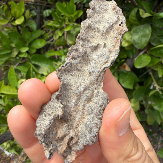 Sahara Desert Fulgurite: Lightning Glass, Fossilized Lightning, Energy Work, 14.55 grams