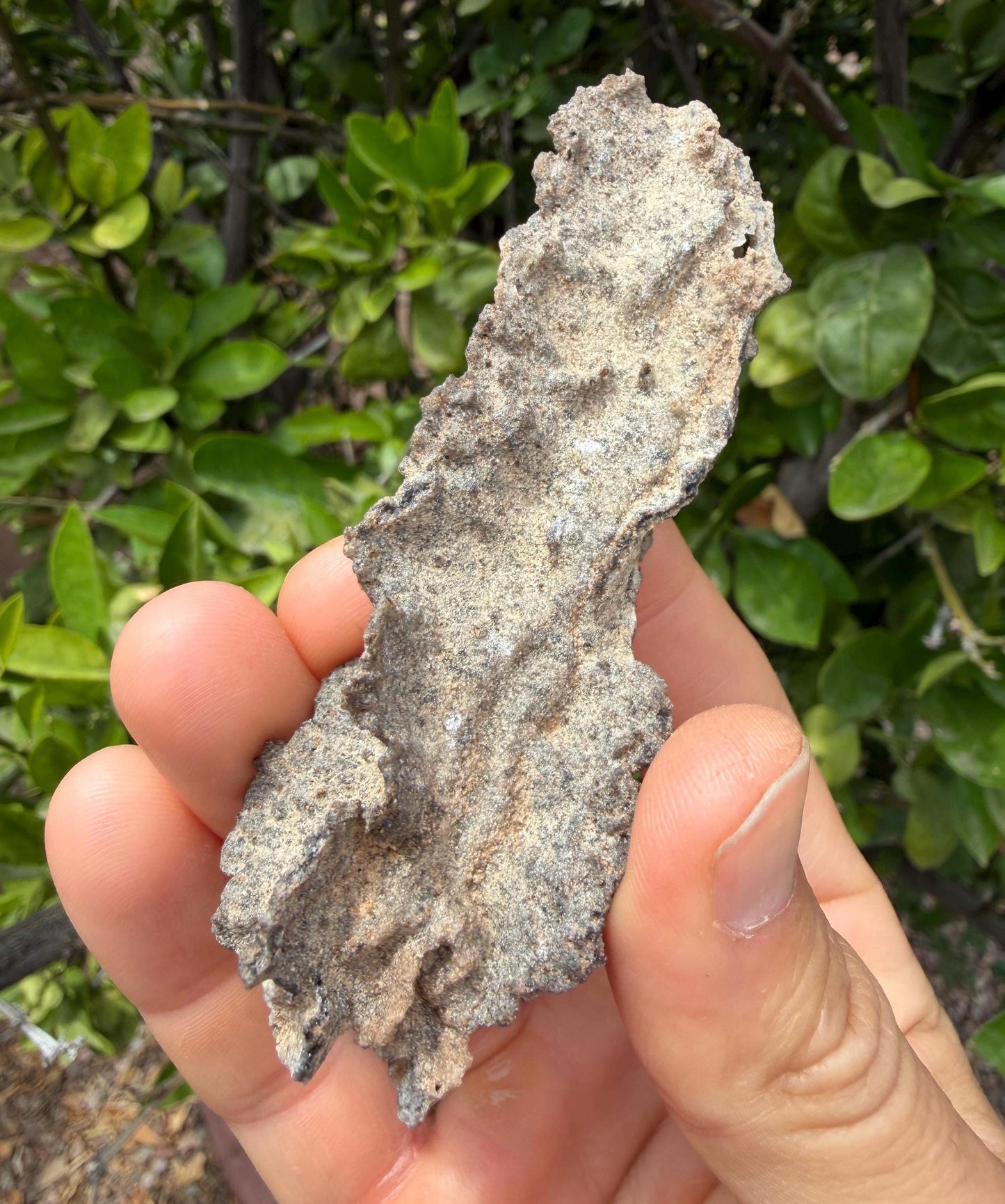 Sahara Desert Fulgurite: Lightning Glass, Fossilized Lightning, Energy Work, 14.55 grams