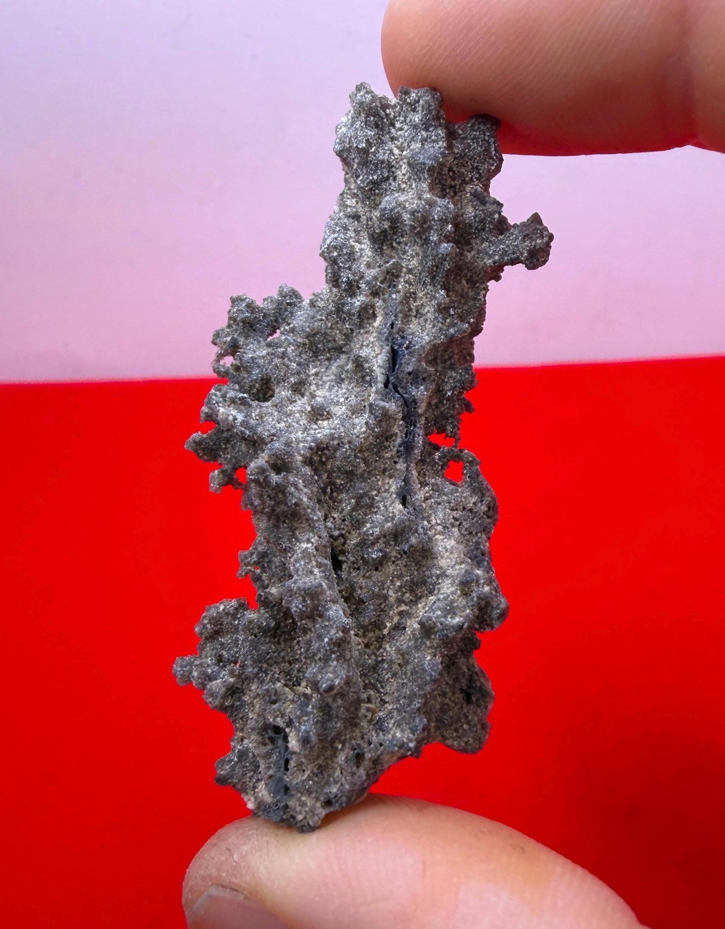Sahara Desert Fulgurite: Lightning Glass, Fossilized Lightning, Energy Work, 5.86 grams