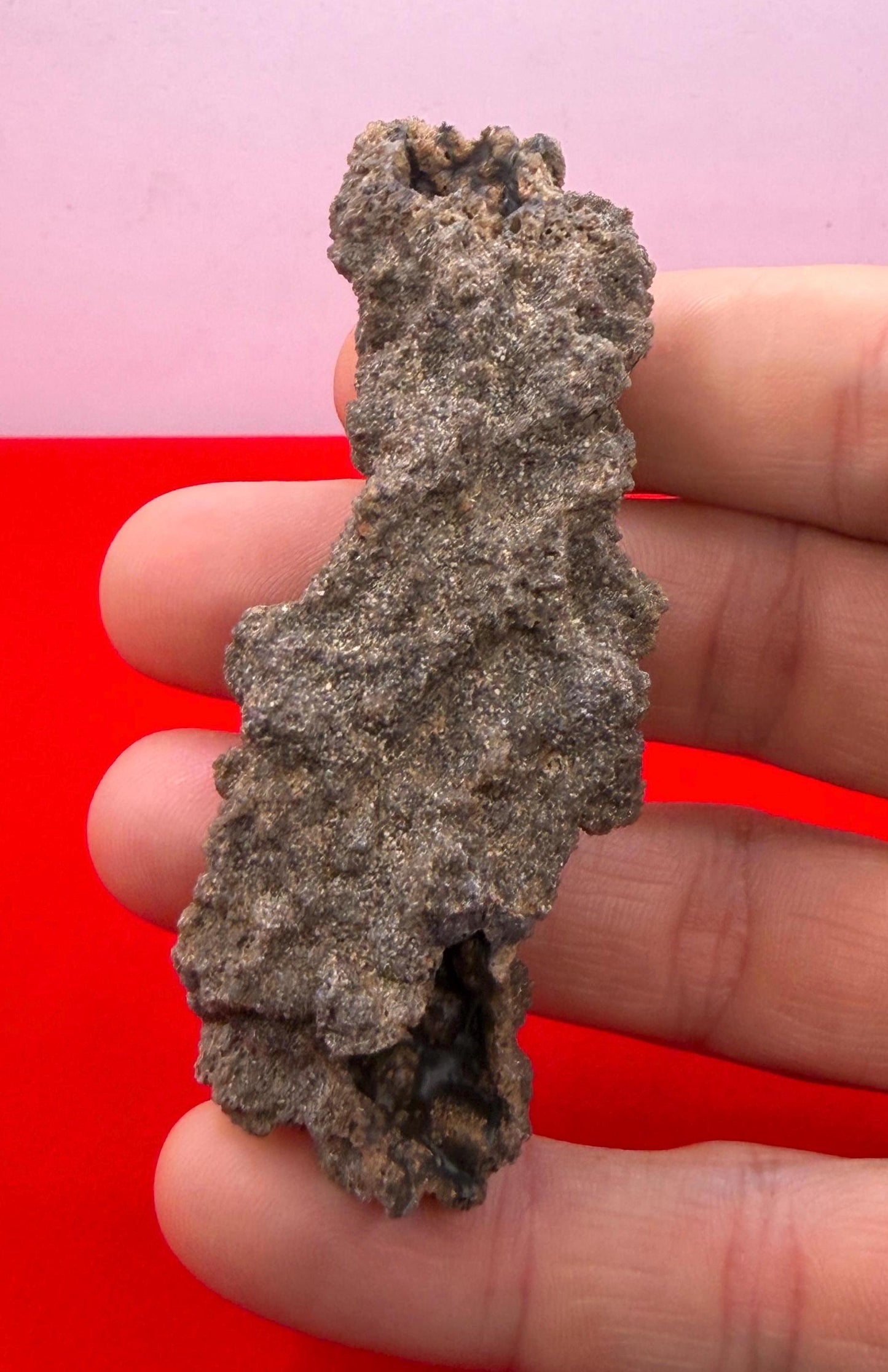 Sahara Desert Fulgurite: Lightning Glass, Fossilized Lightning, Energy Work, 12.38 grams