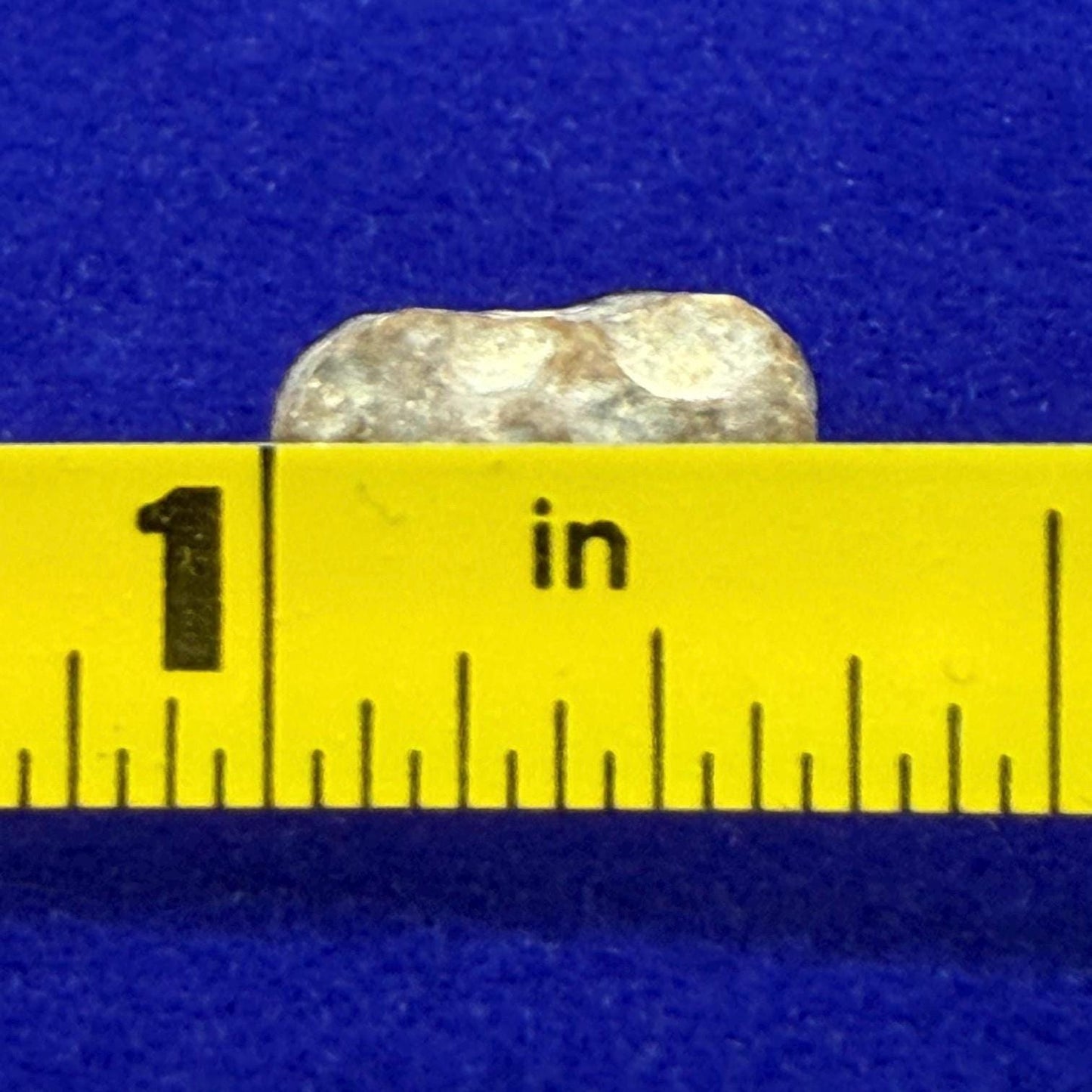 NWA 13974 Lunar Meteorite: Feldspathic Breccia, Moon Rock, 0.47 grams