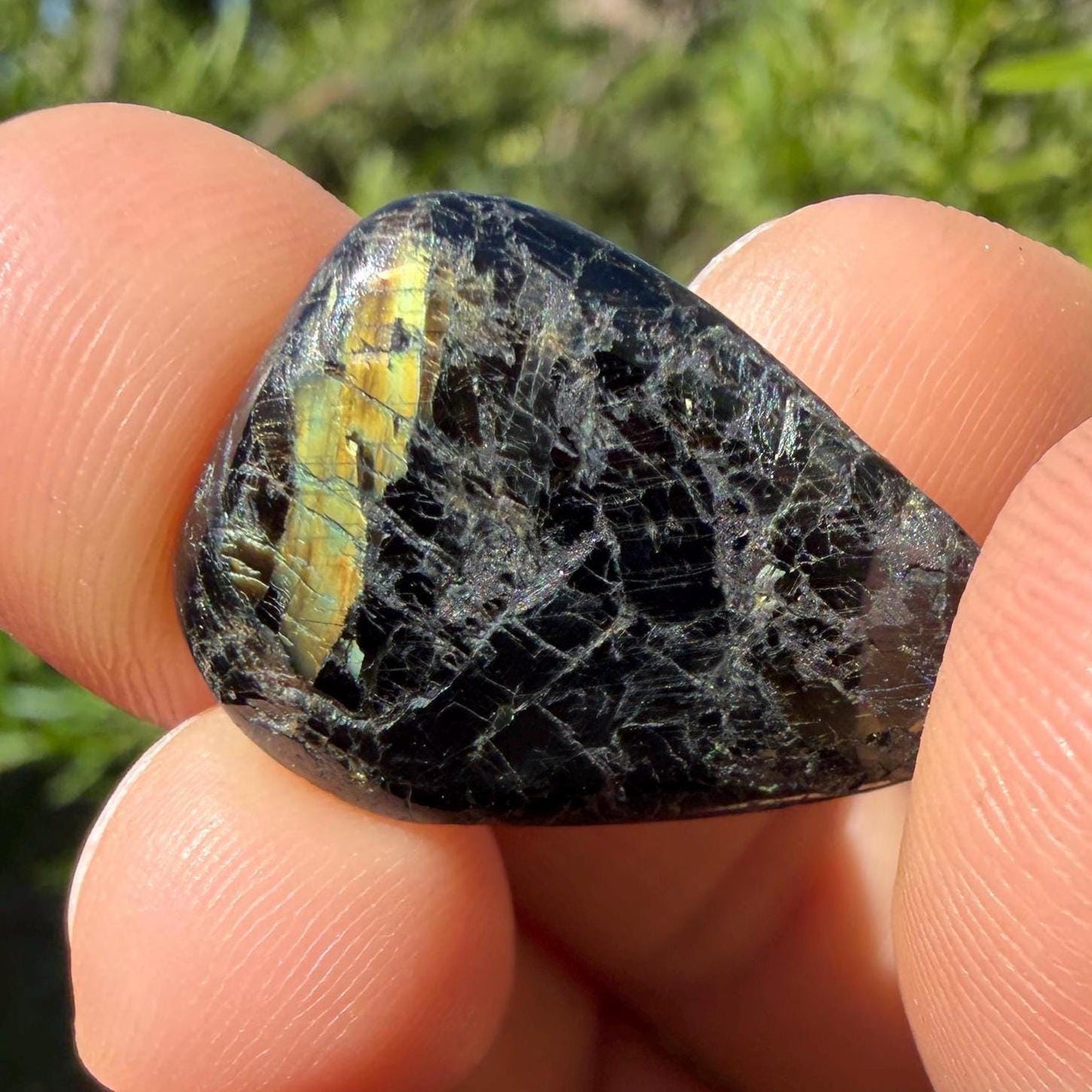 Greenland Nuummite Stone: Reiki Healing Stone, Protection Talisman, 6.91 grams
