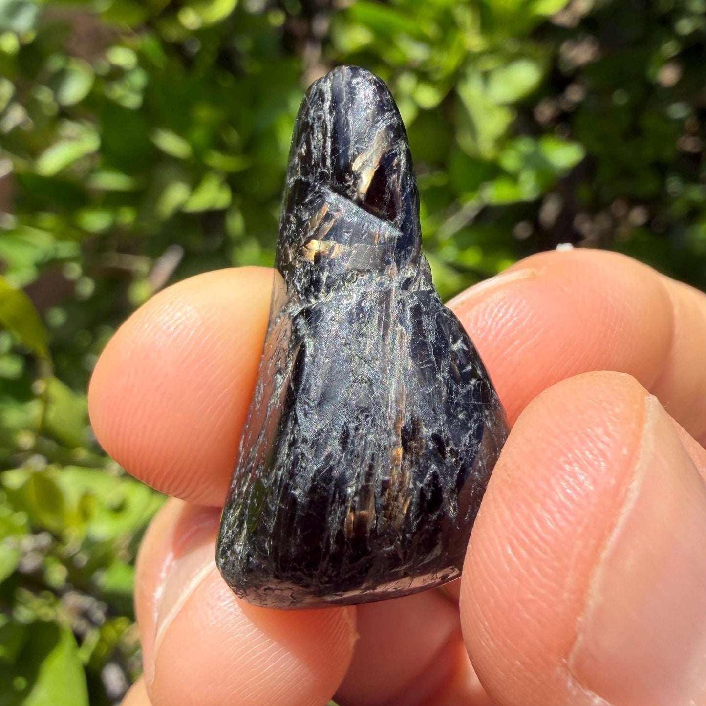 Greenland Nuummite Stone: Reiki Healing Stone, Protection Talisman, 9.17 grams