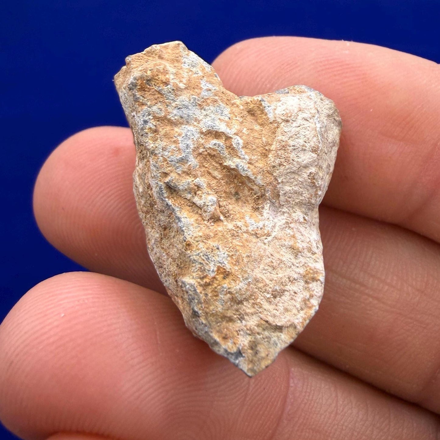 Tisserlitine 003 Lunar Meteorite: Feldspathic Breccia Moon Rock, 8.39 grams