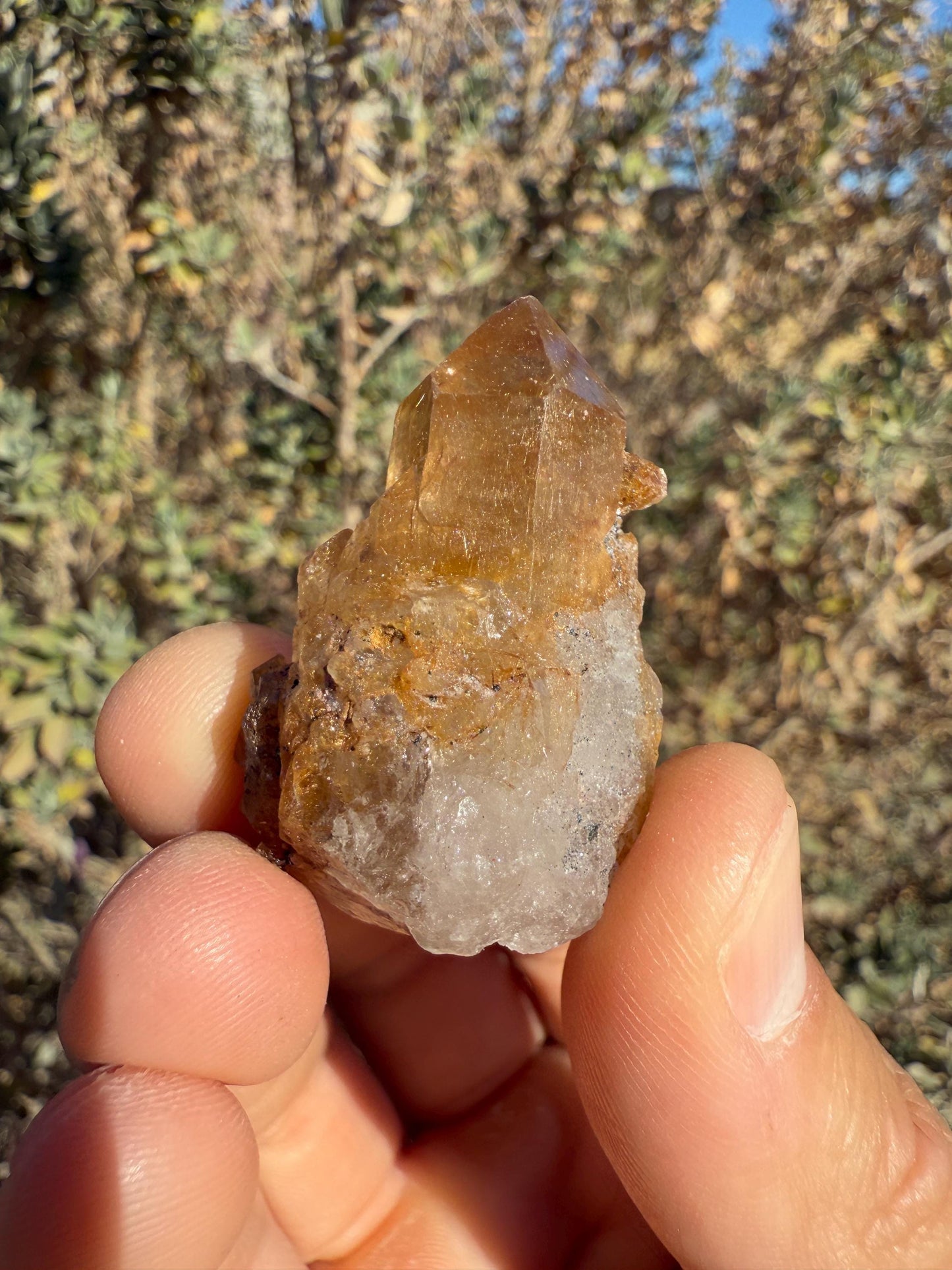 Golden Rutilated Quartz Crystal: Brazilian Fine Crystal, 18.98g