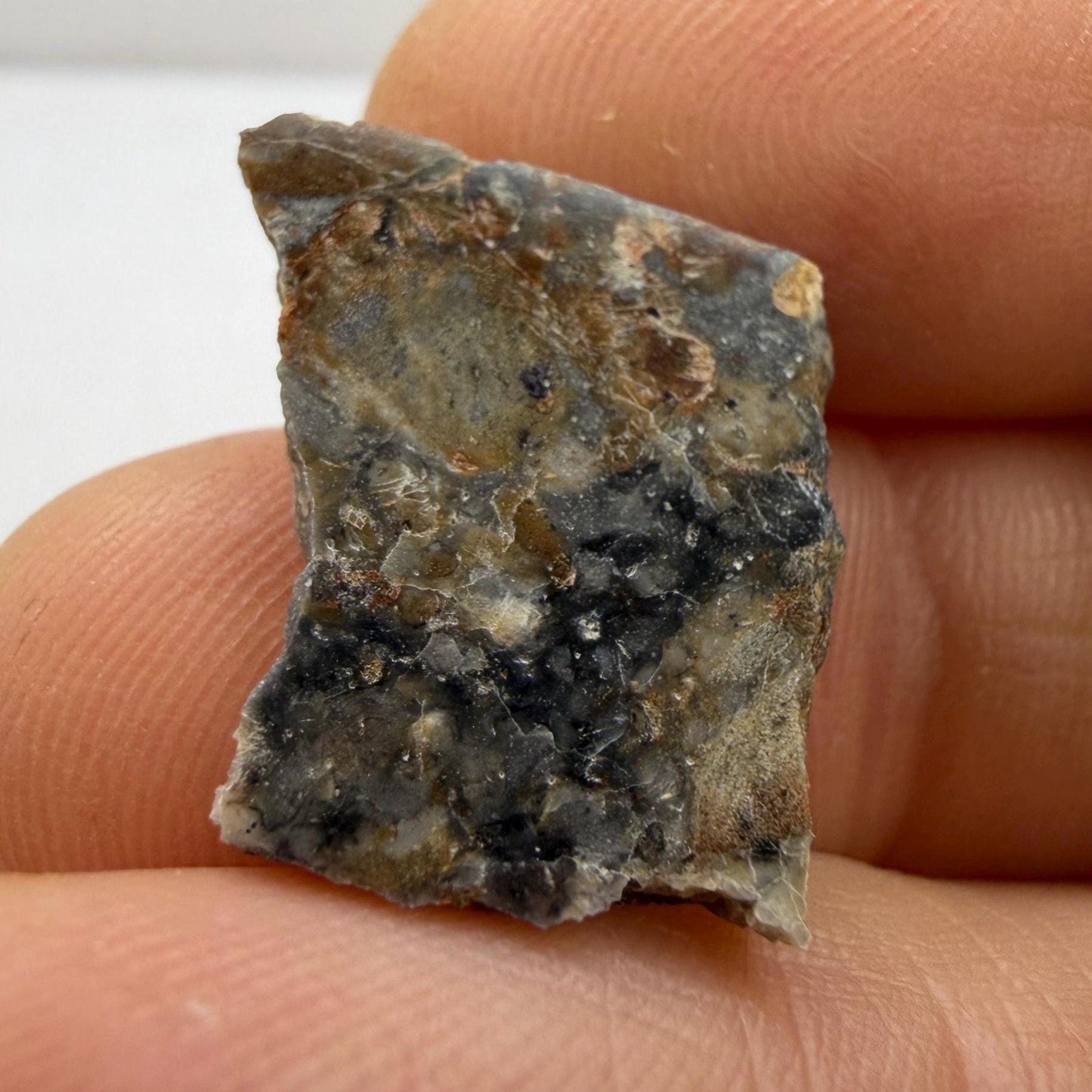 NWA 18045 Lunar Meteorite Slice, Melt Breccia Moon Rock (1.48 grams)