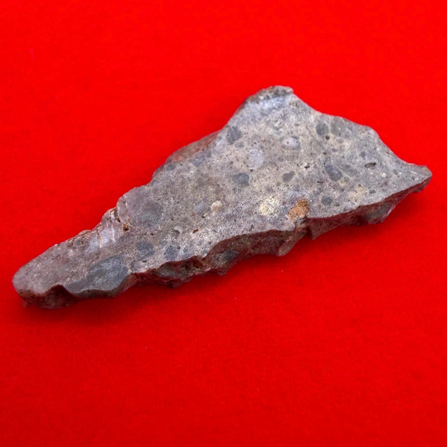 Oued el Hamim 001 Lunar Meteorite Slice, Authentic Moon Rock, Rare Aqueously Altered Lunar, 1.14g