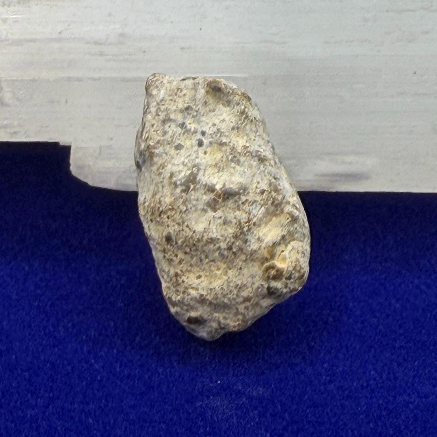 NWA 13974 Lunar Meteorite -Feldspathic Breccia, Authentic Meteorite, 2.06 grams