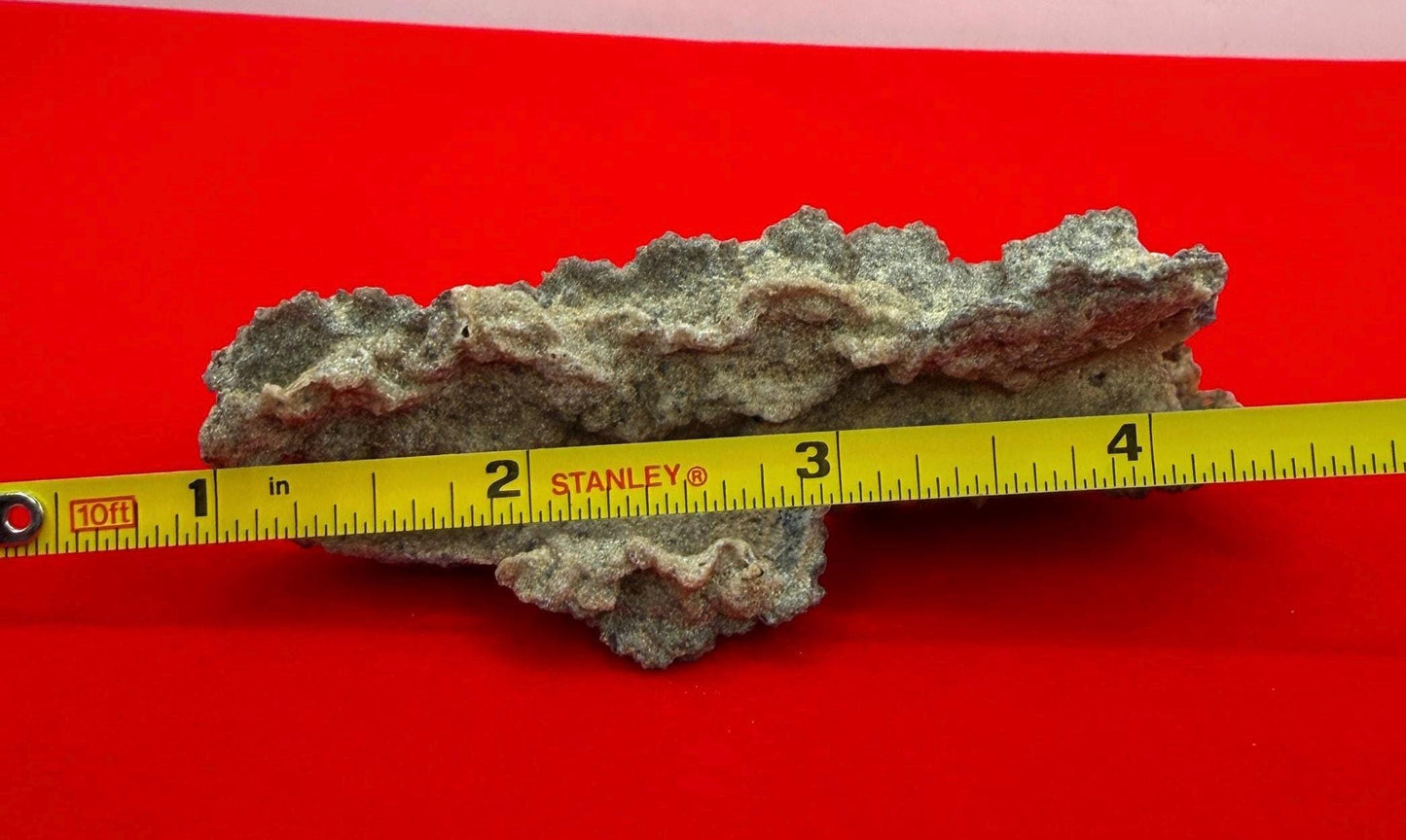 Sahara Desert Fulgurite: Lightning Glass, Fossilized Lightning, Energy Work, 14.55 grams