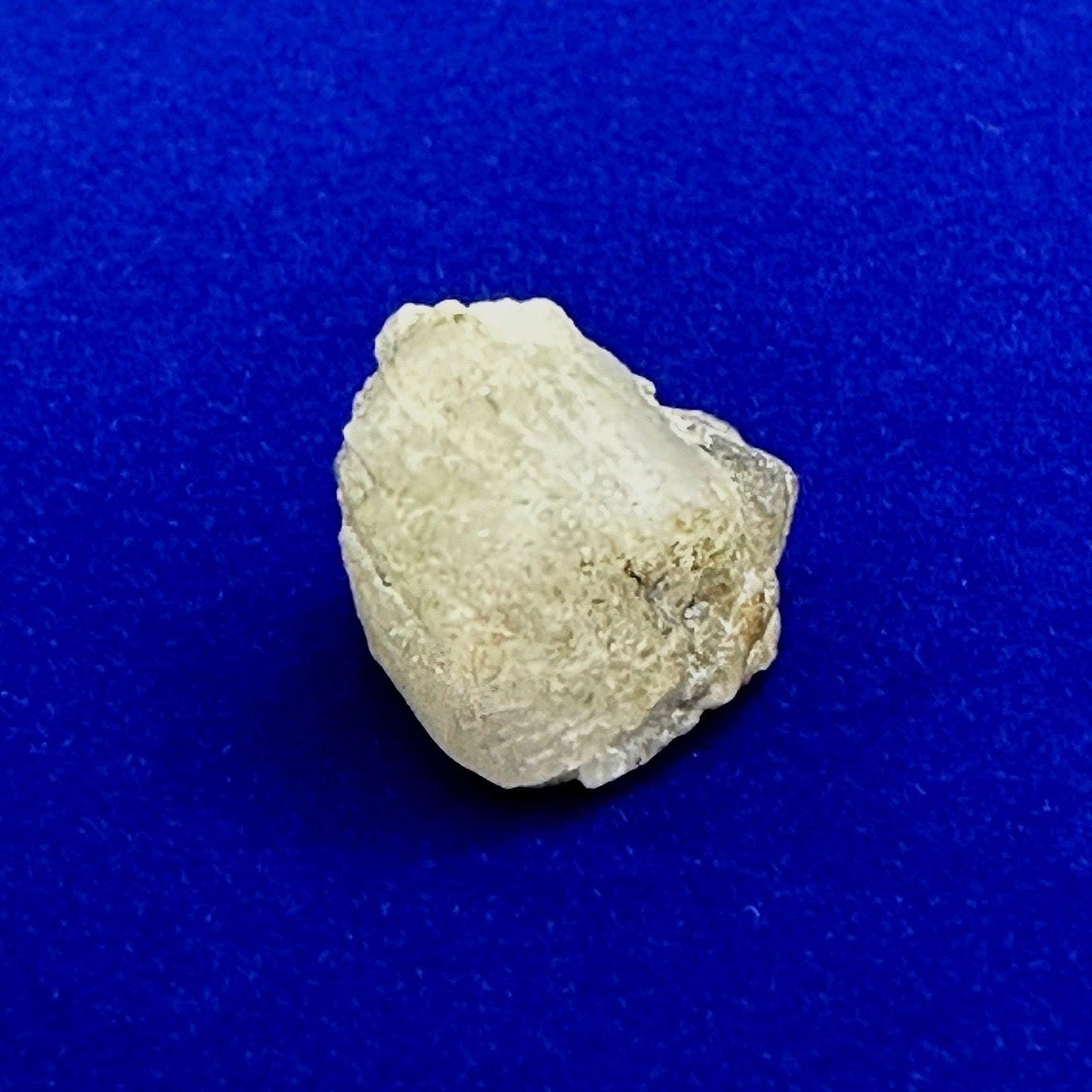 Brazilian Phenacite Crystal: Authentic Phenacite, 2.84g/14.2ct