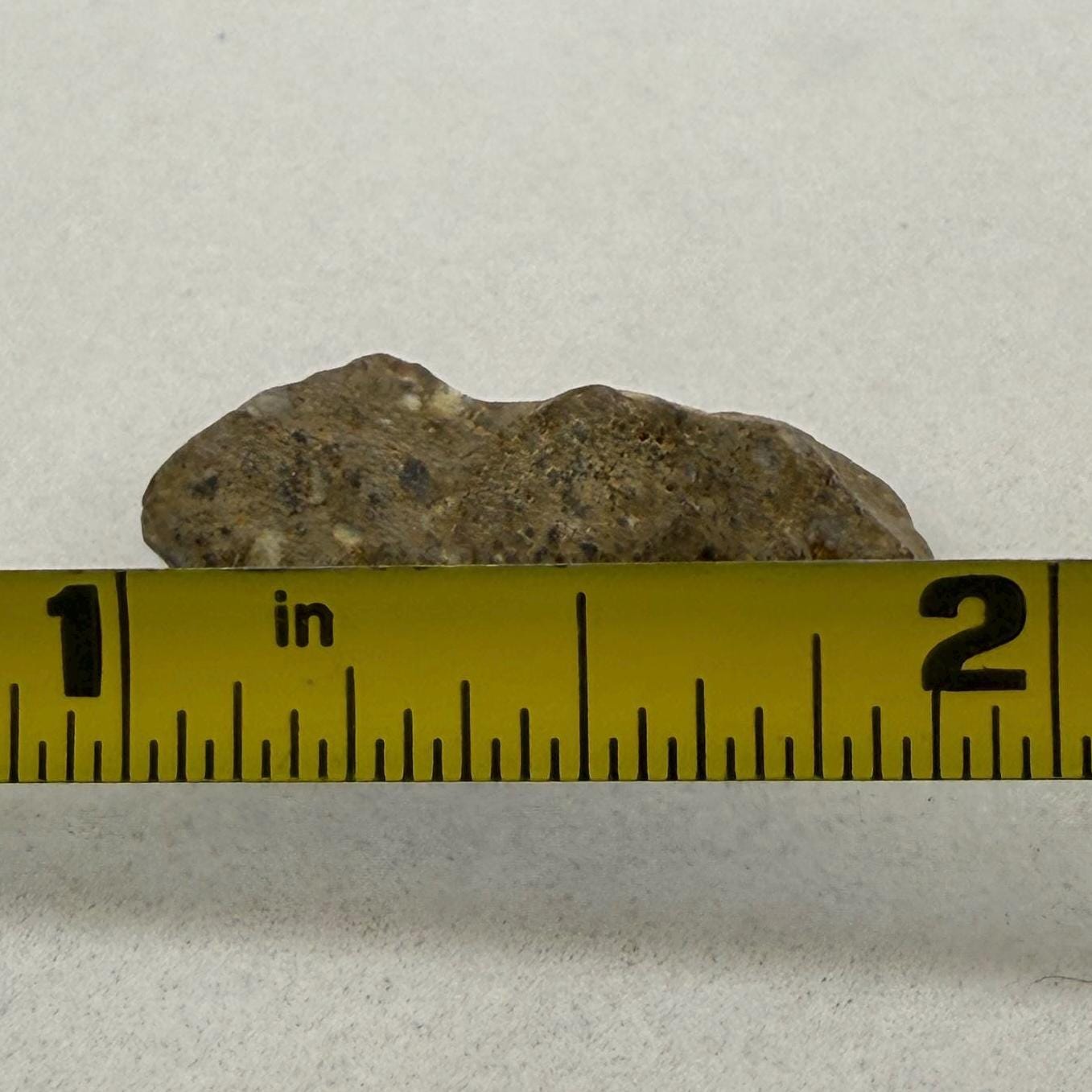 NWA 13974 Lunar Meteorite: Feldspathic Breccia, Authentic Moon Rock, 2.41 grams